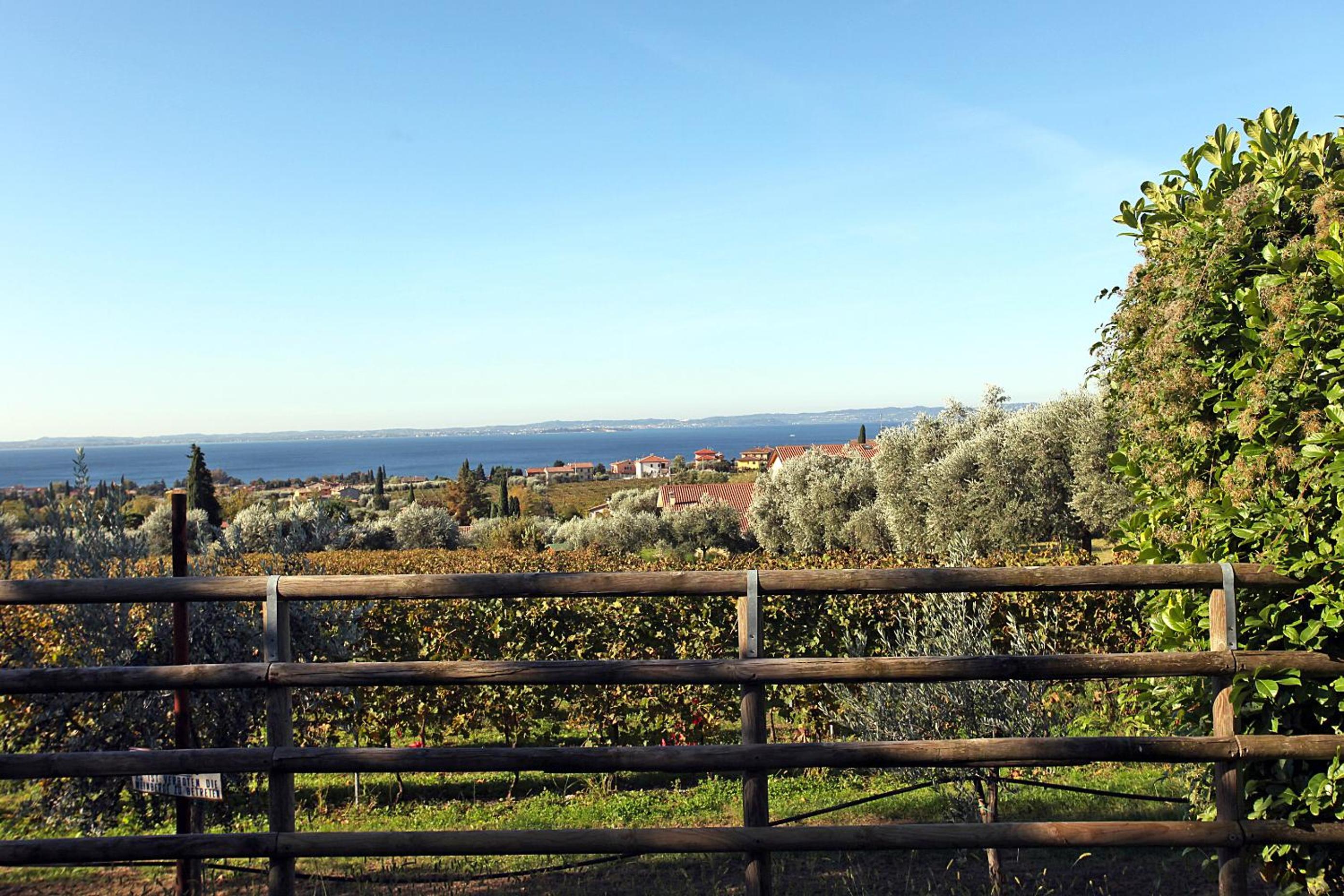 Appartamenti Bellavista