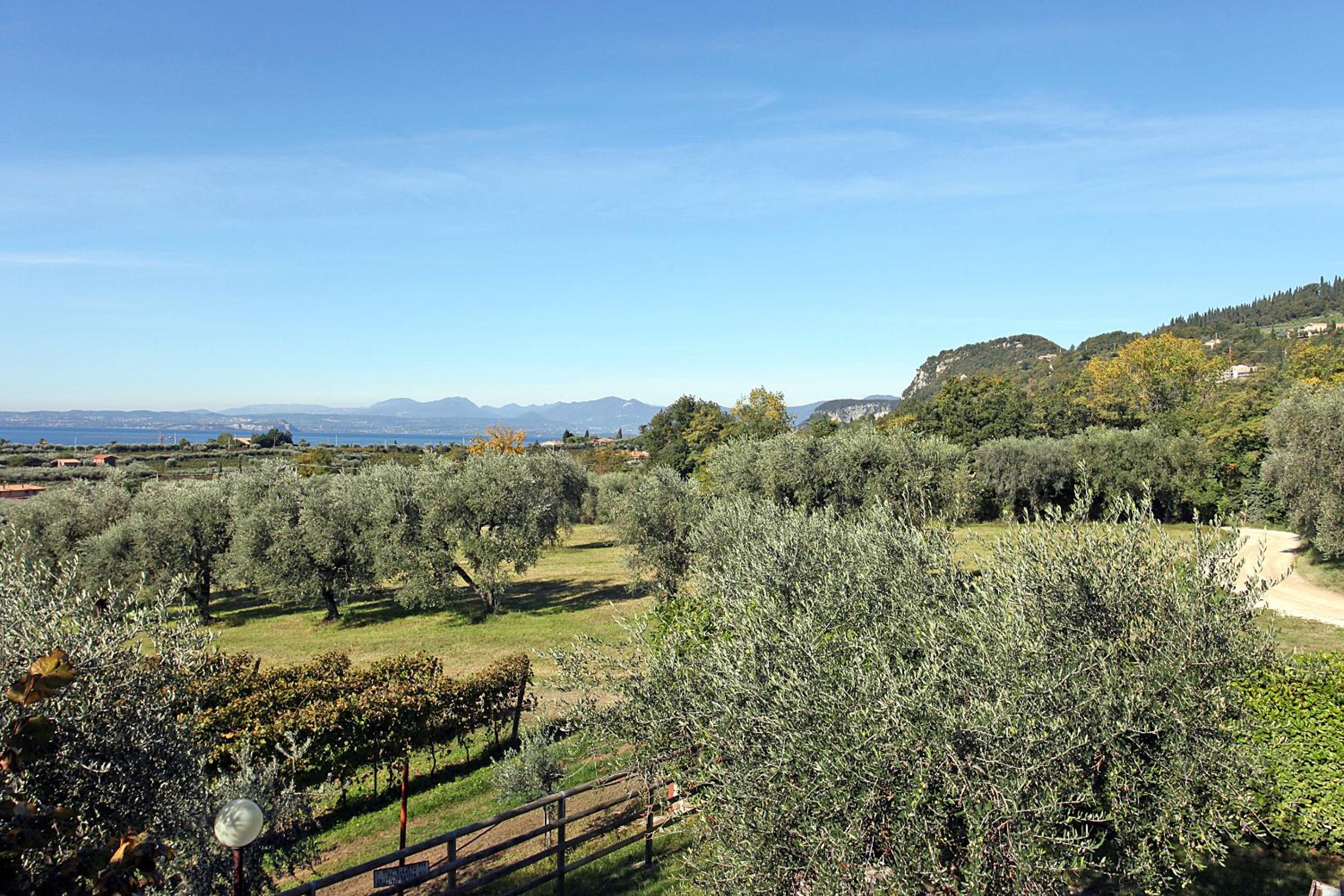 Appartamenti Bellavista