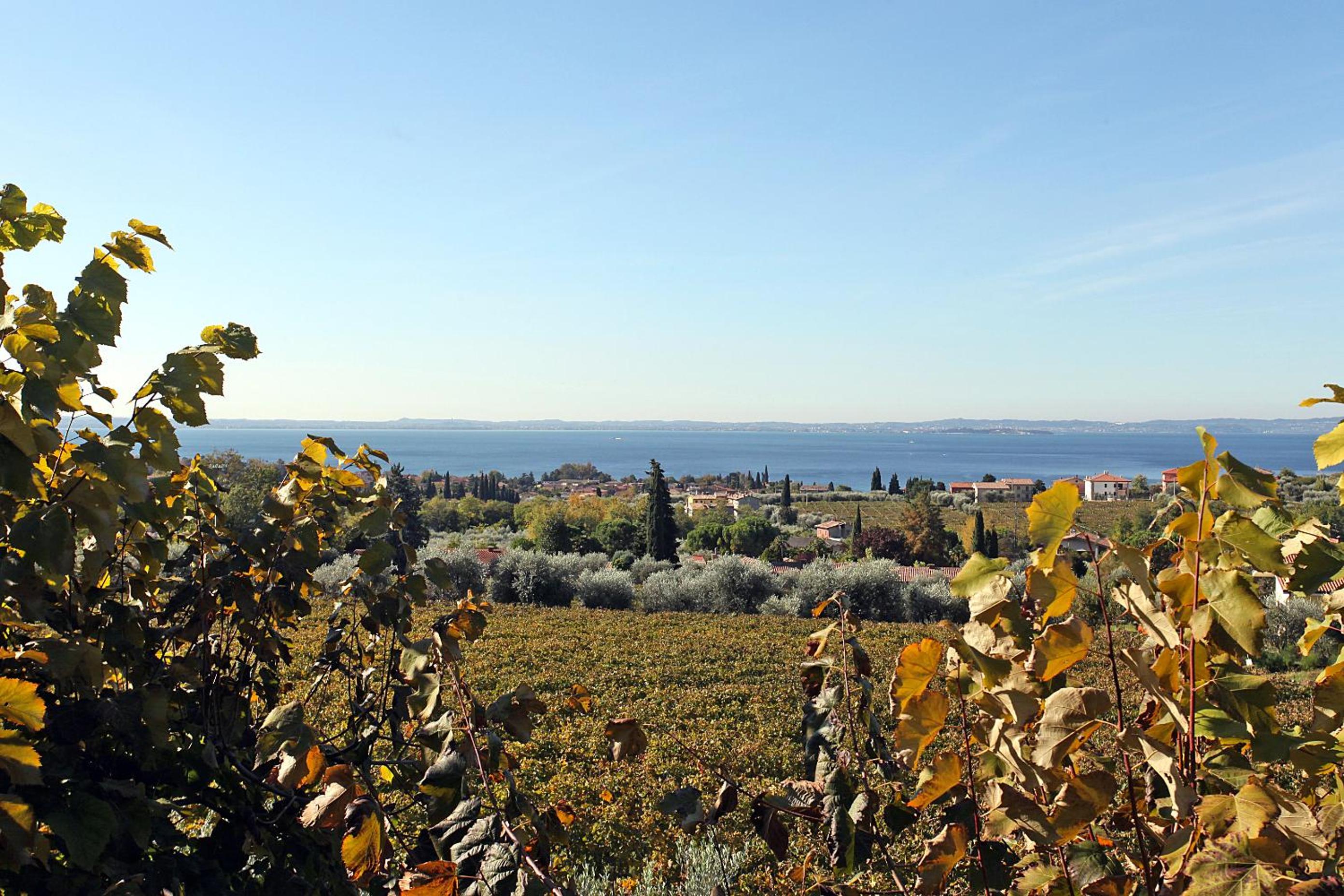 Appartamenti Bellavista