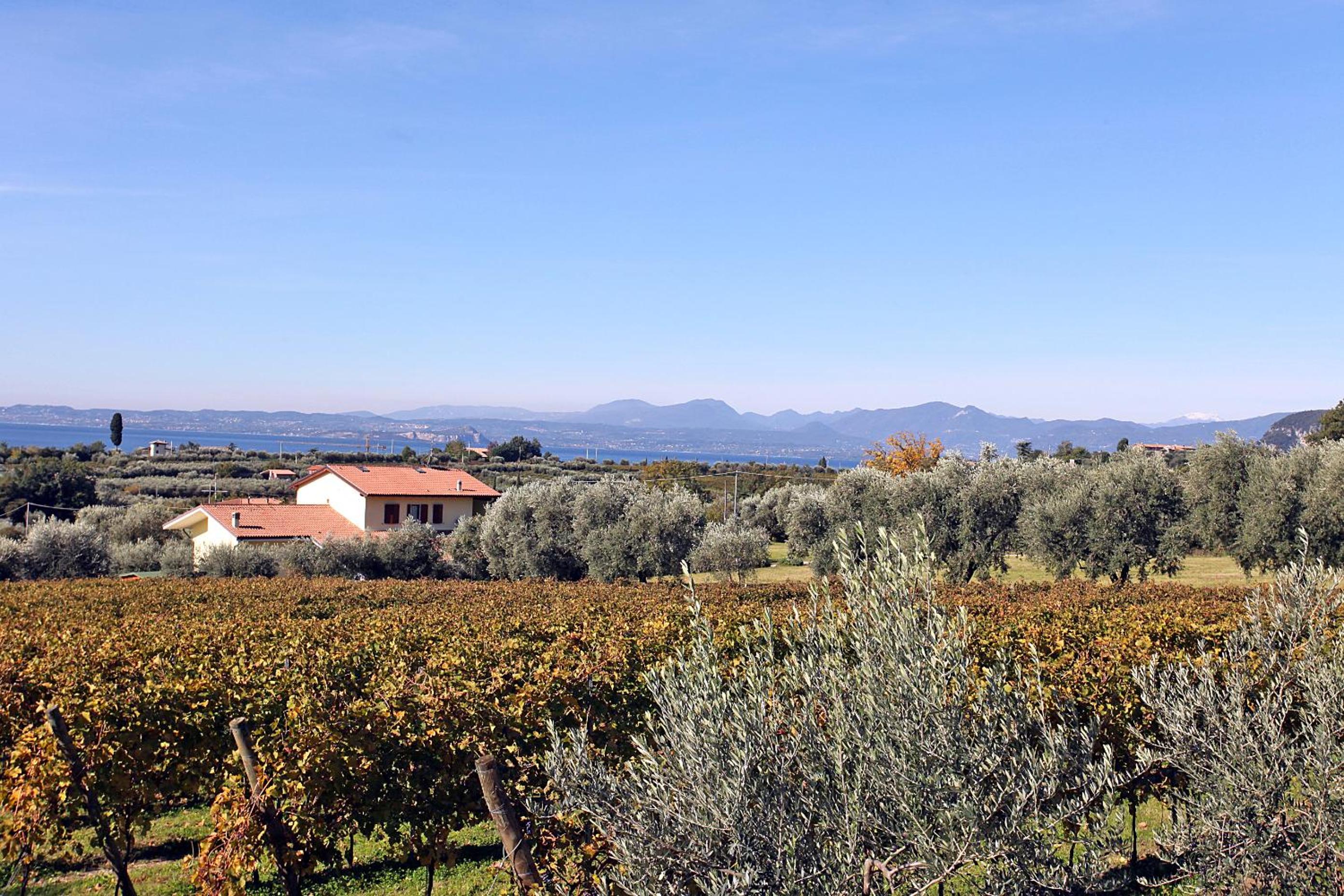 Appartamenti Bellavista