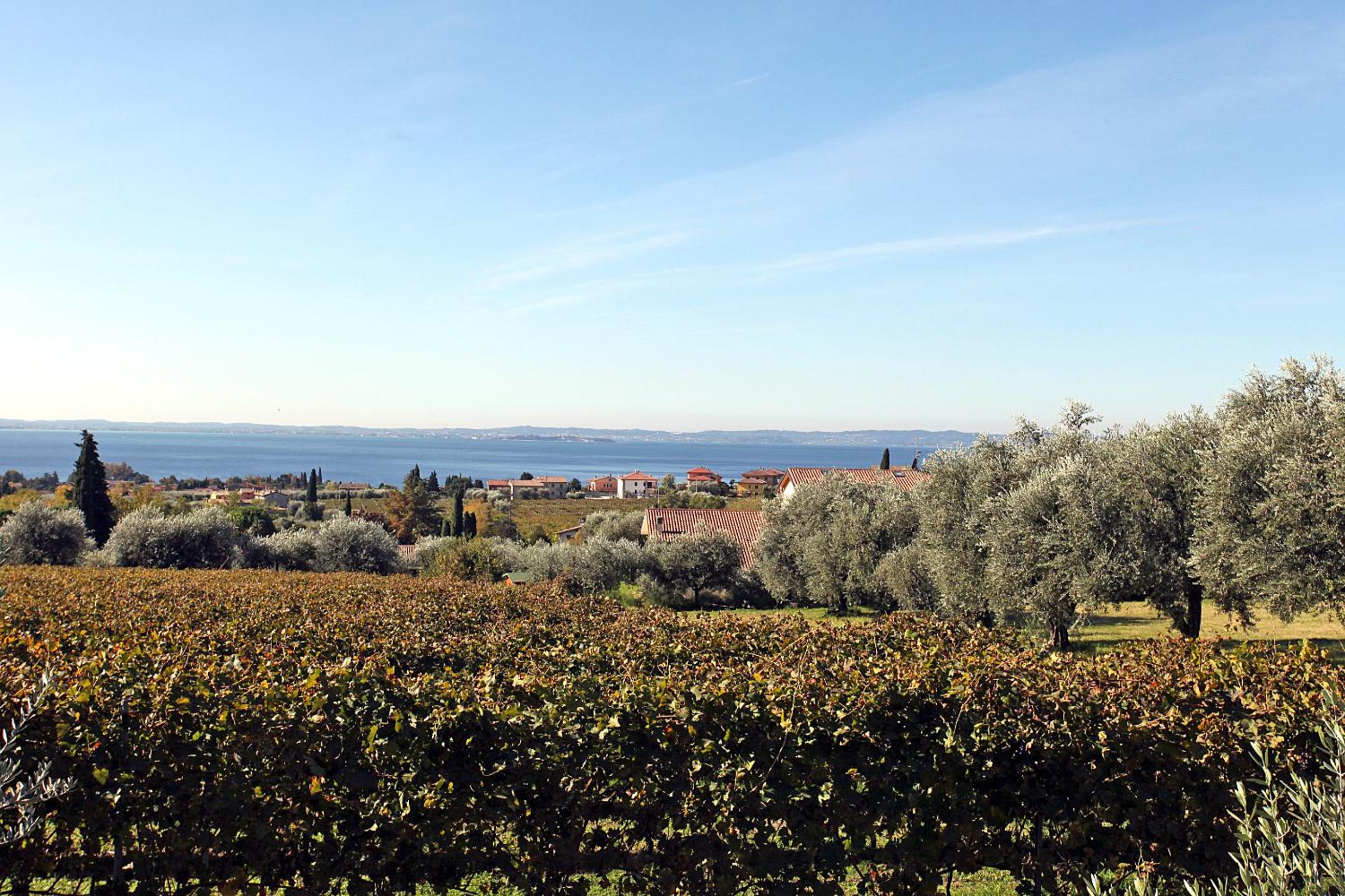 Appartamenti Bellavista