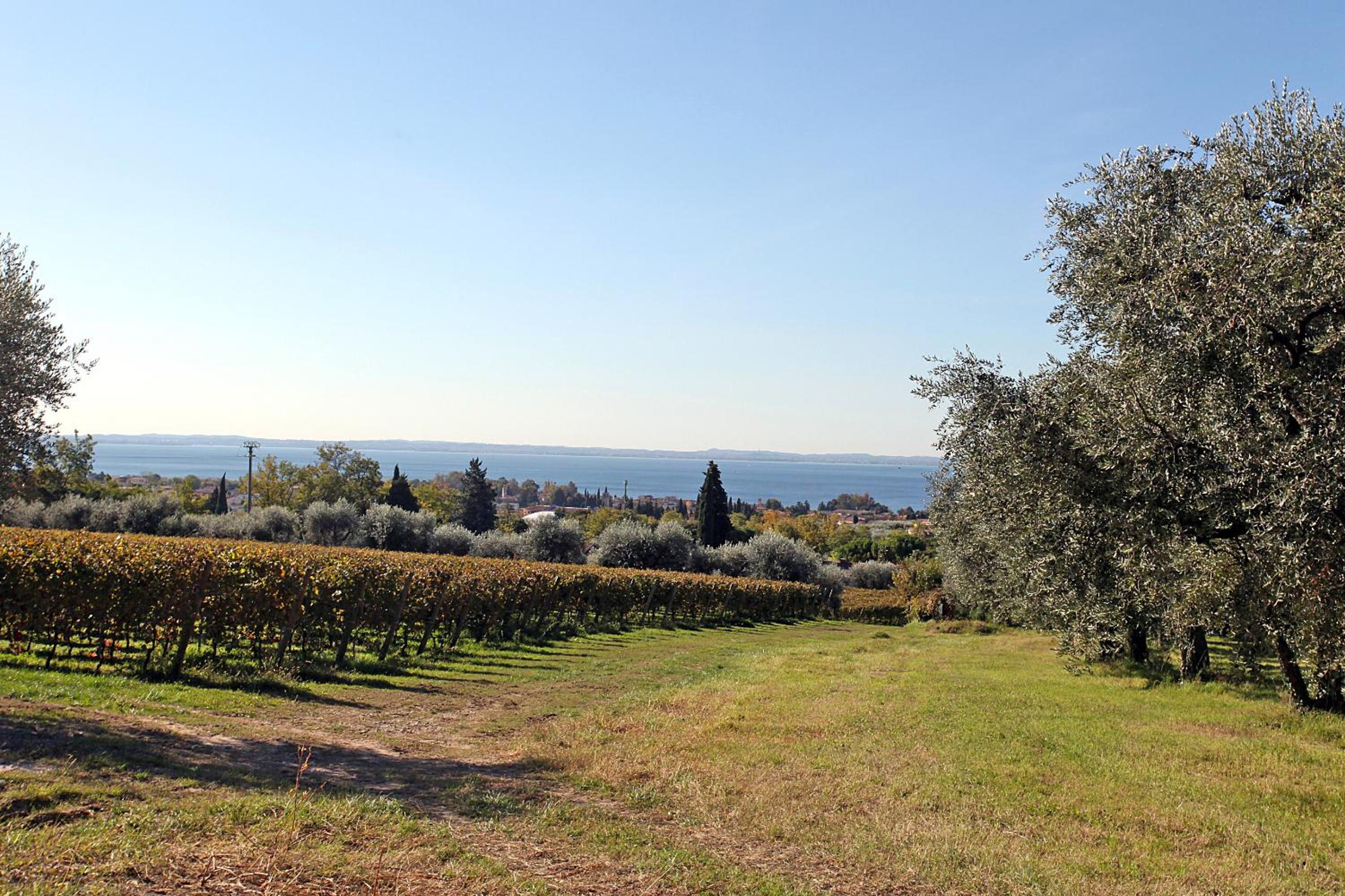 Appartamenti Bellavista