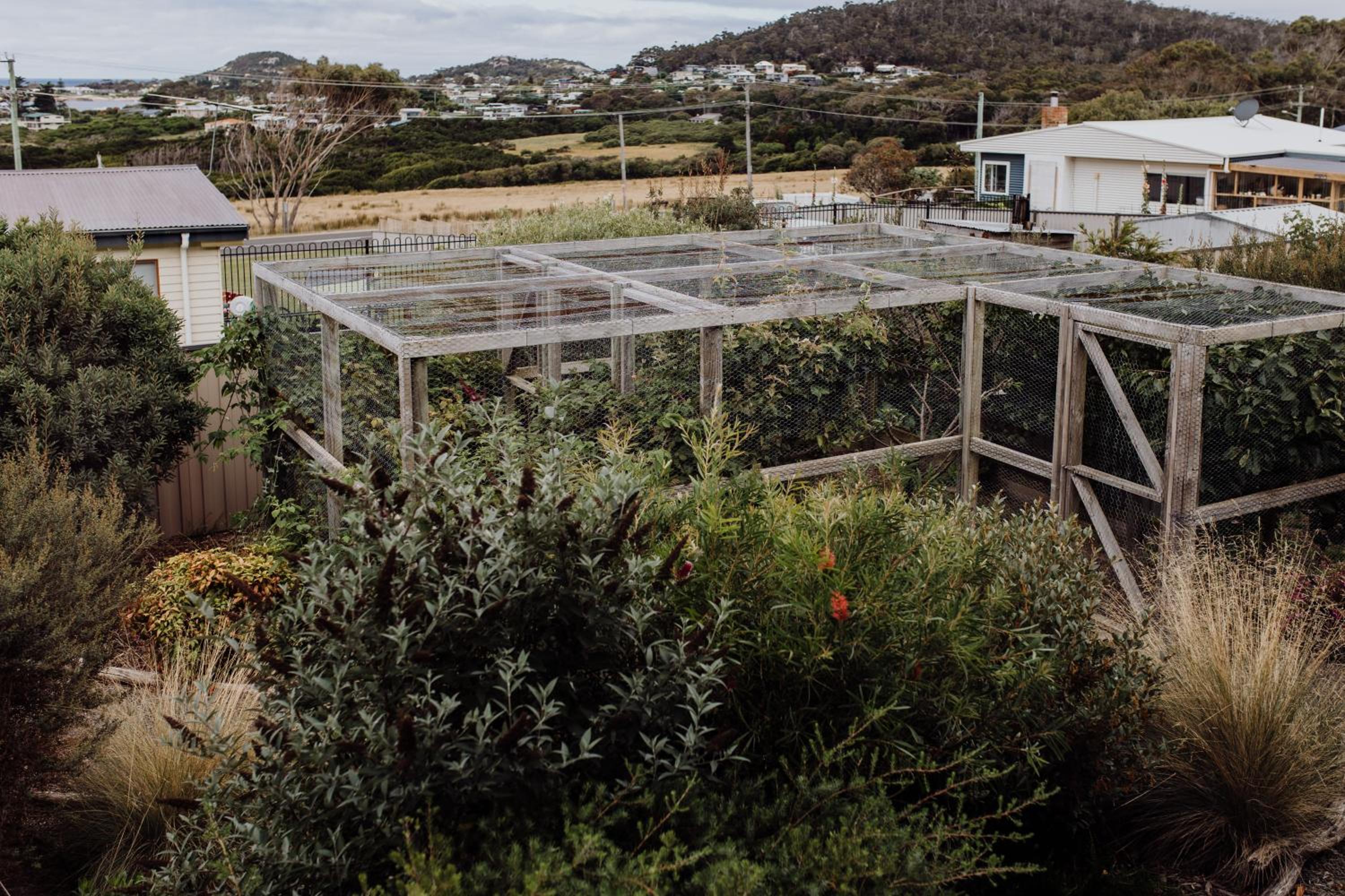 Bicheno Gardens