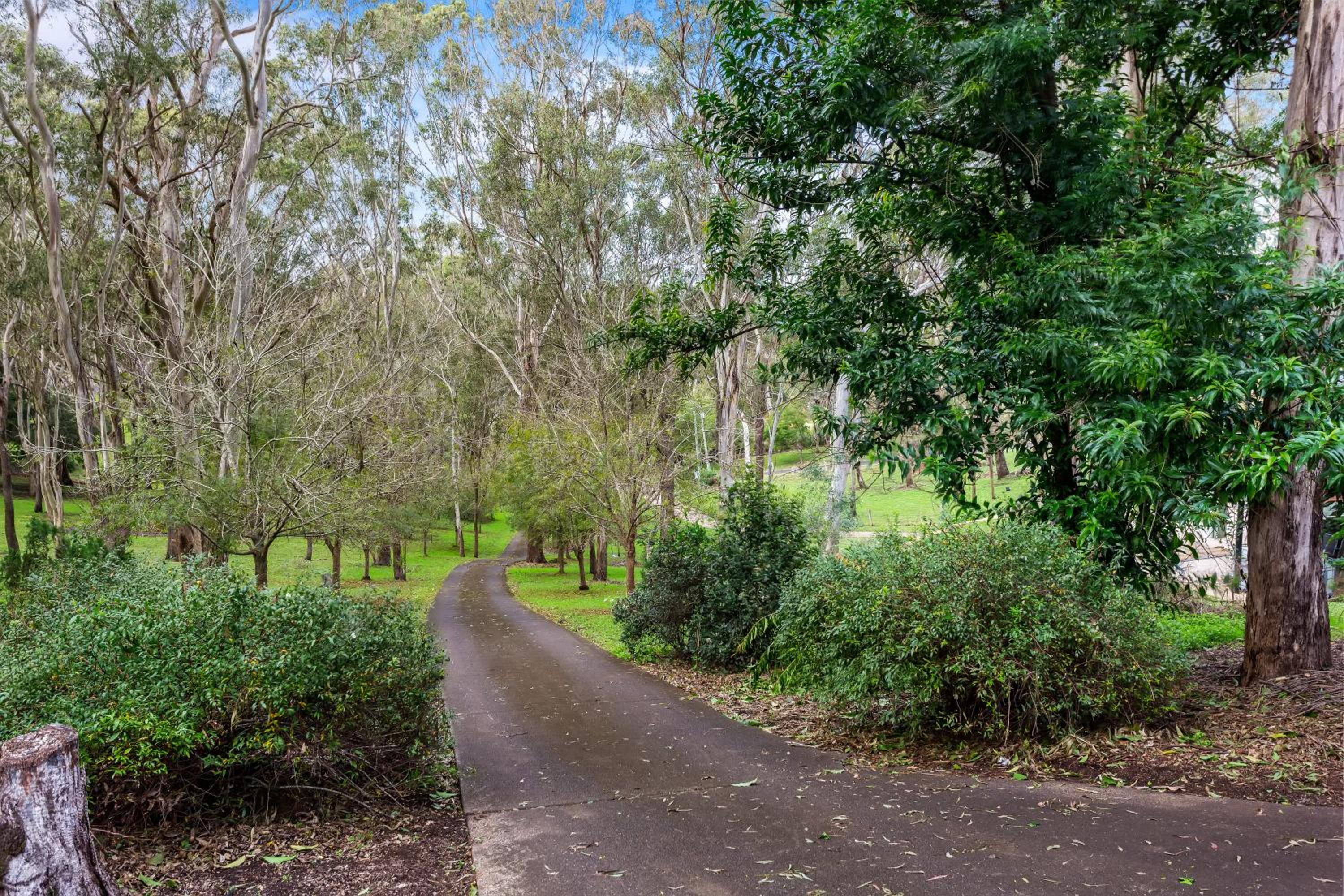 Tree House Toowoomba - Peace & Quiet in tree tops