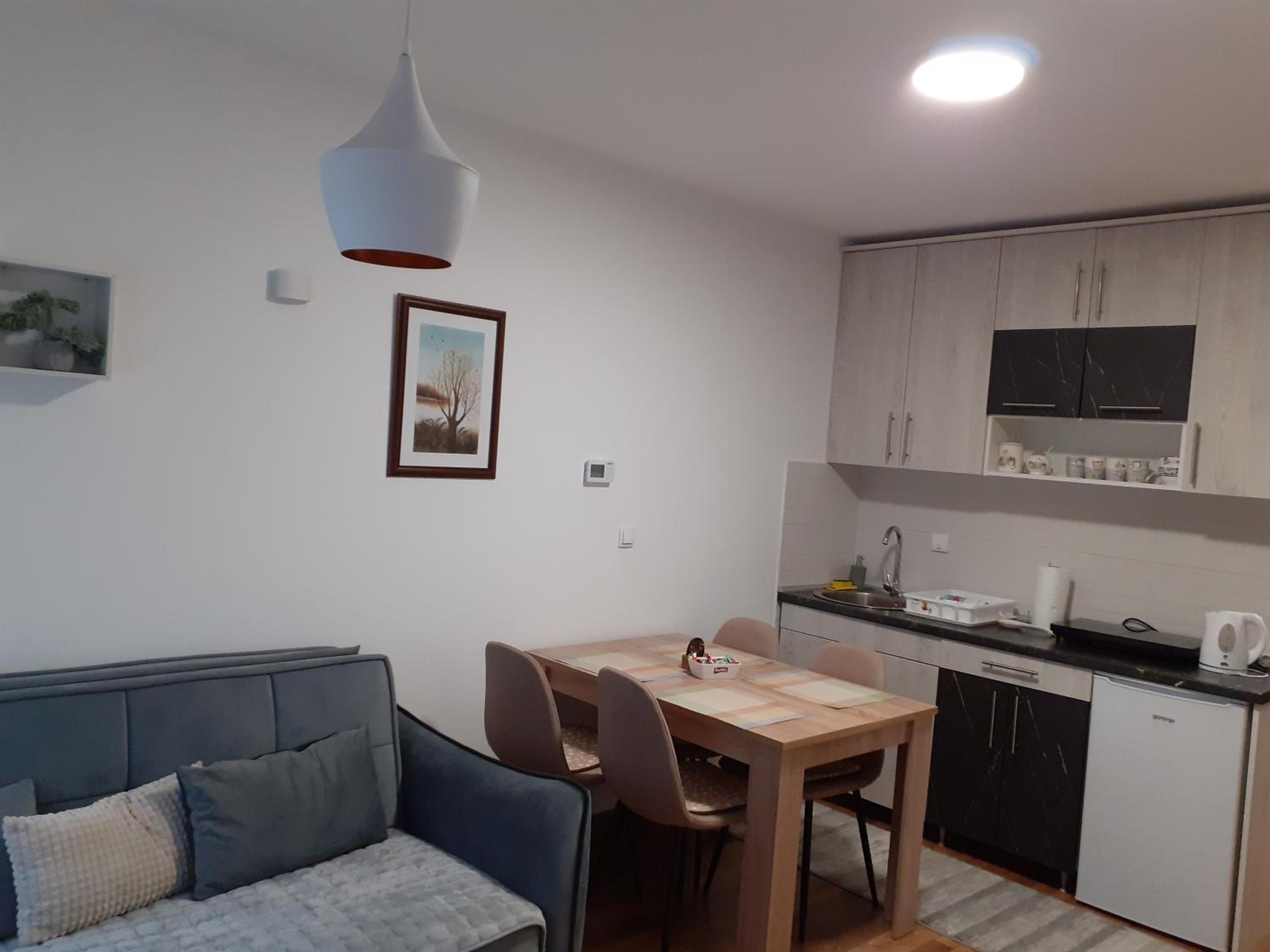 Apartman Anđela i Aleksa Divčibare view 3