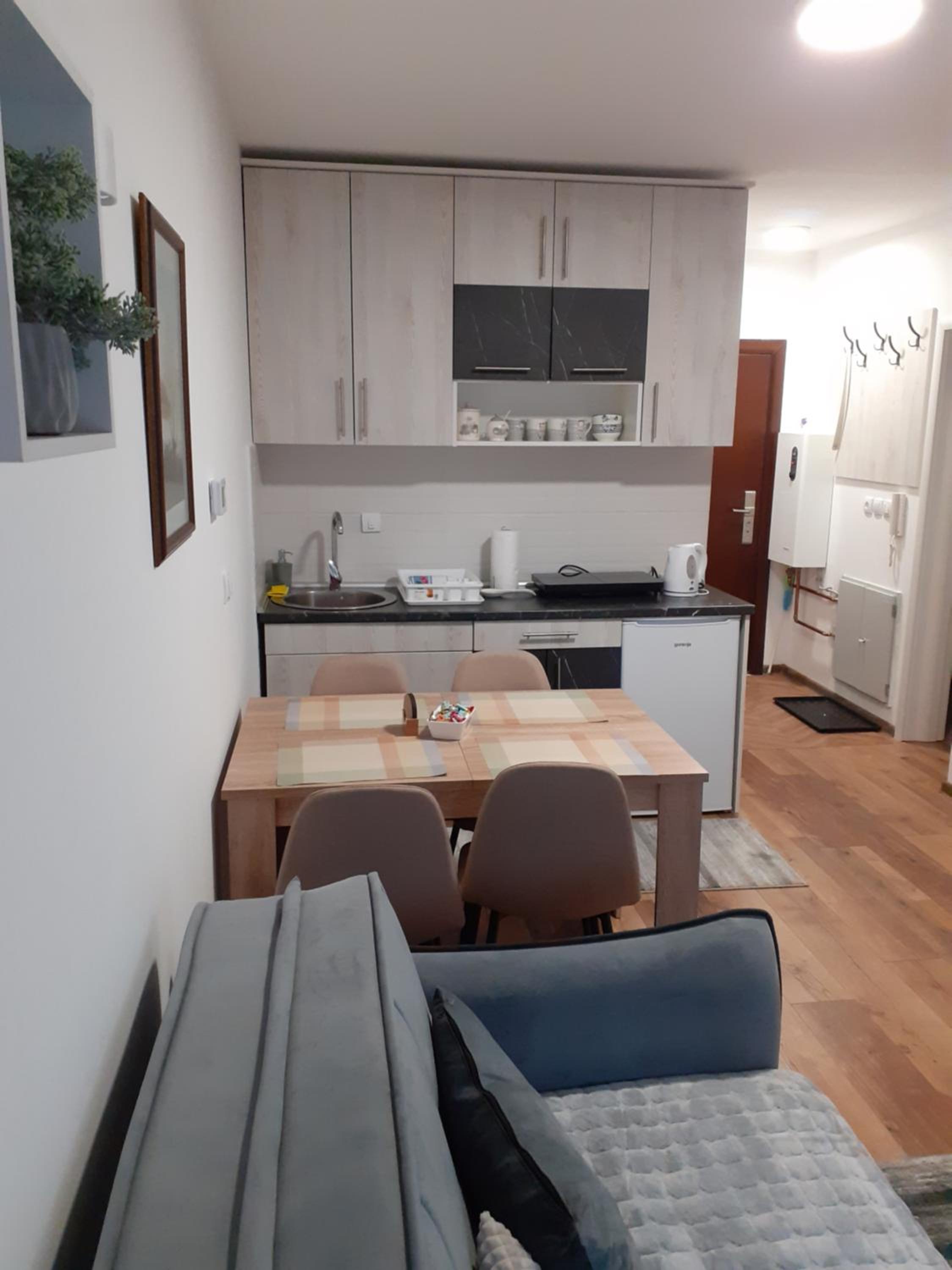 Apartman Anđela i Aleksa Divčibare view 4