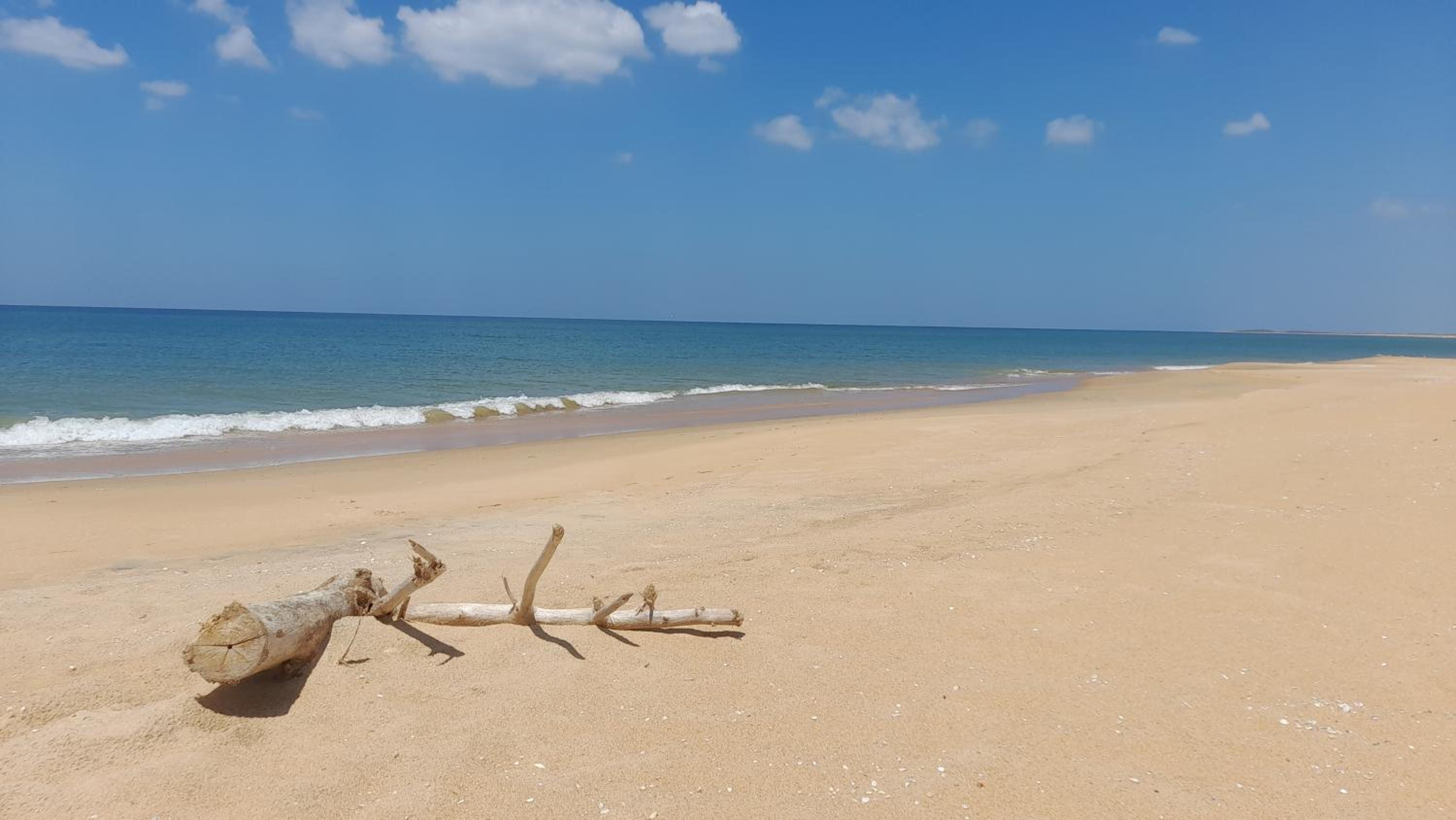 Elements Beach & Nature Resort