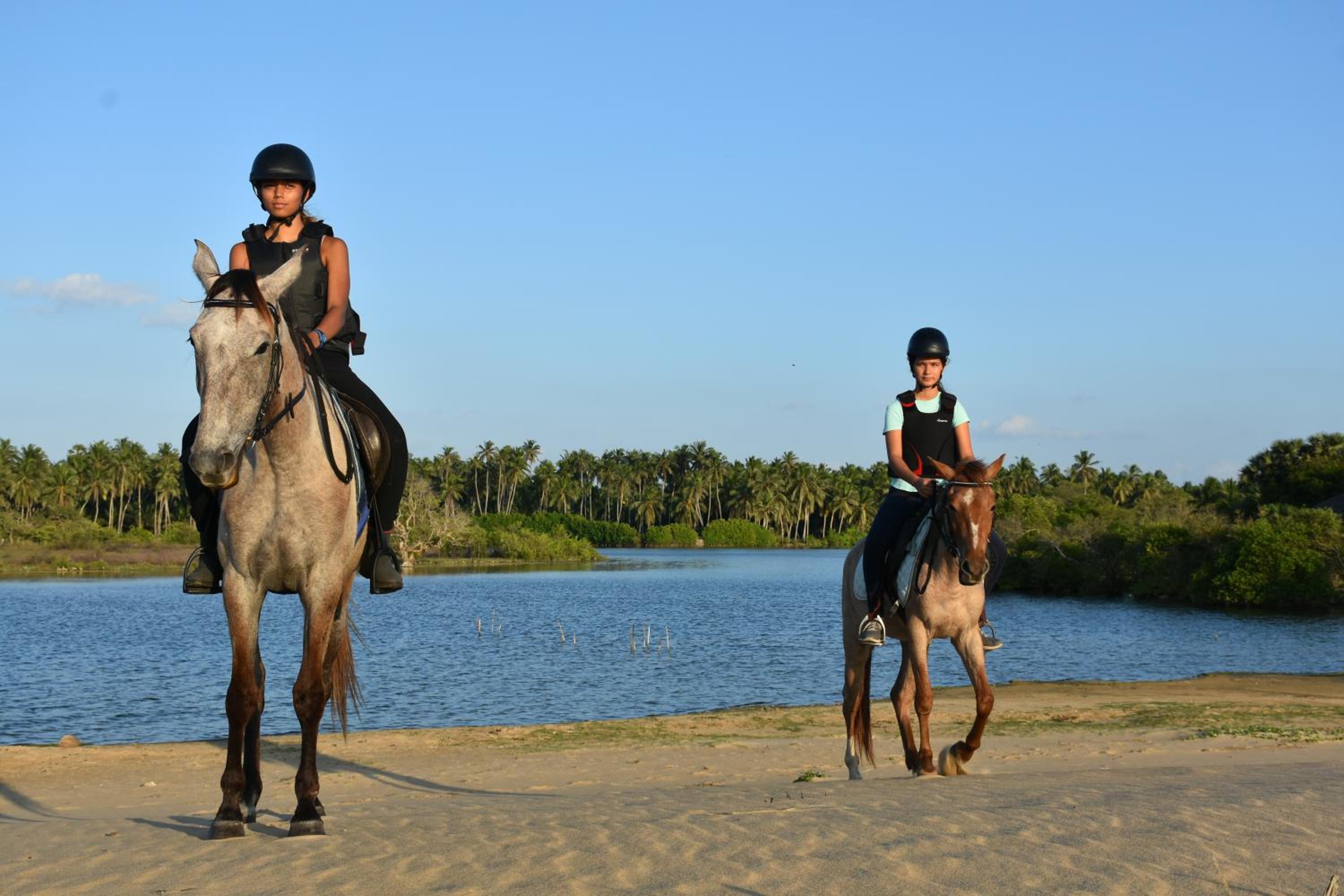 Elements Beach & Nature Resort