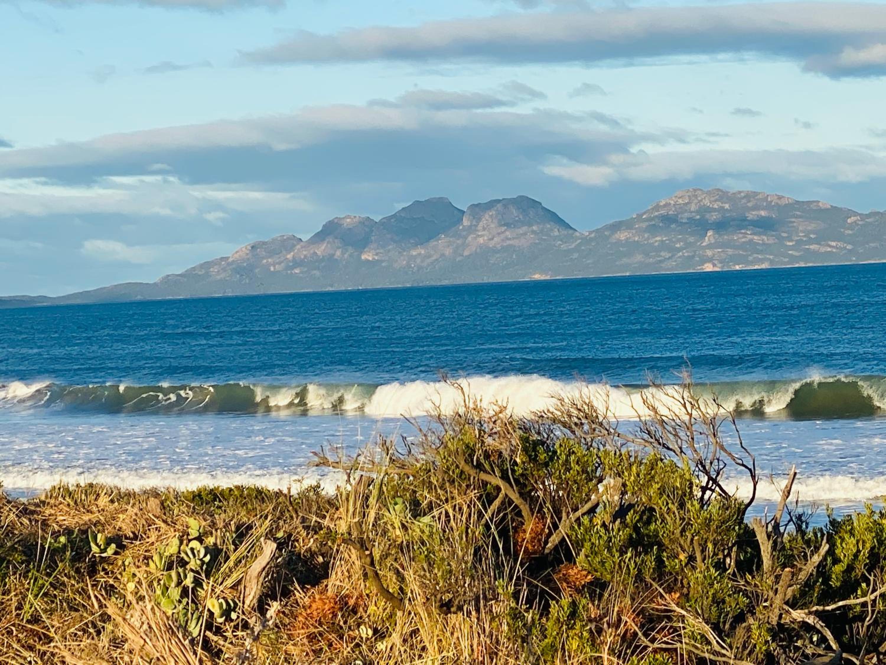 IdleWild - Secluded Absolute Beachfront Escape