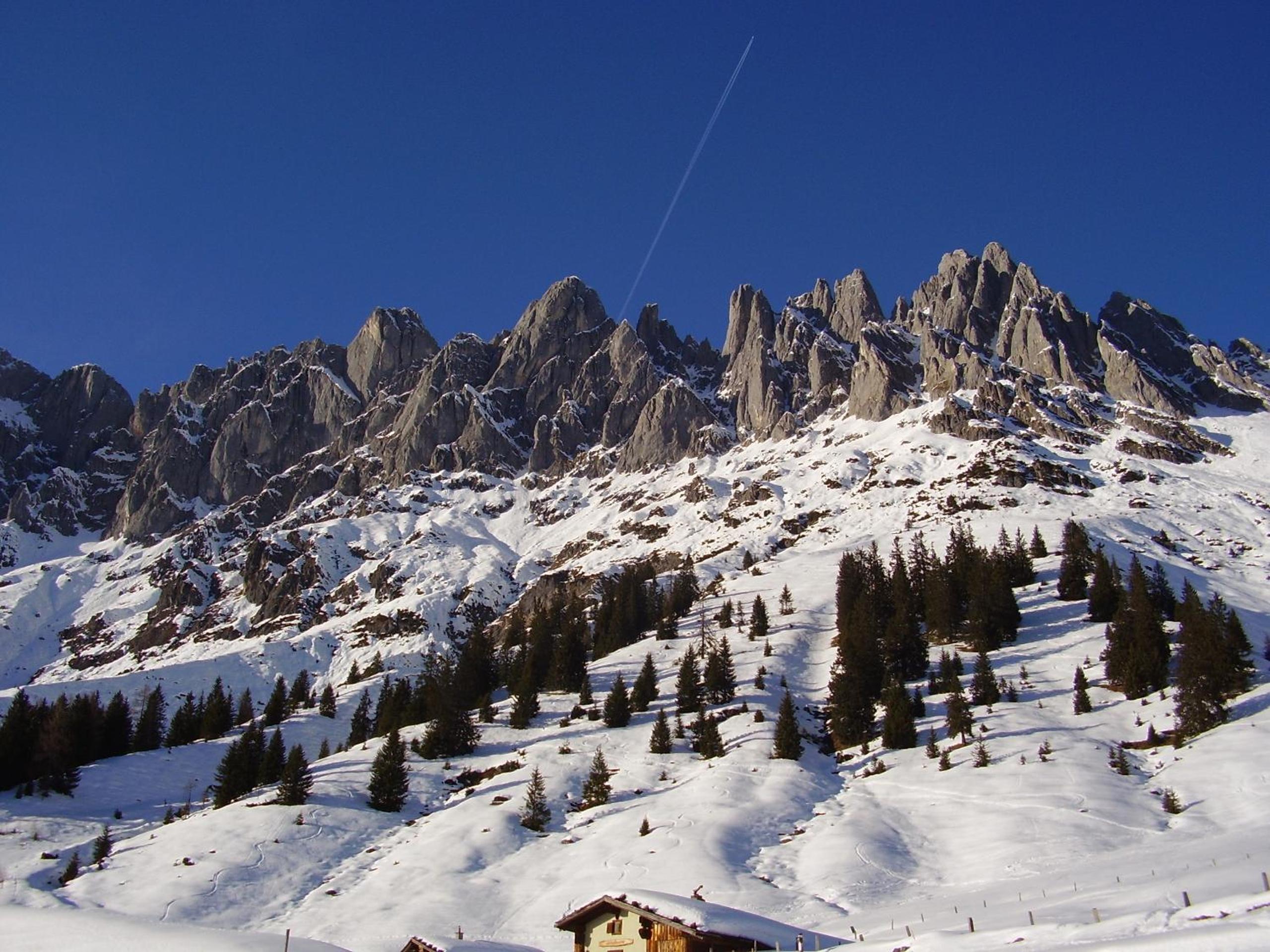 Appartementhaus Hochkönig 1 - Alpenrose