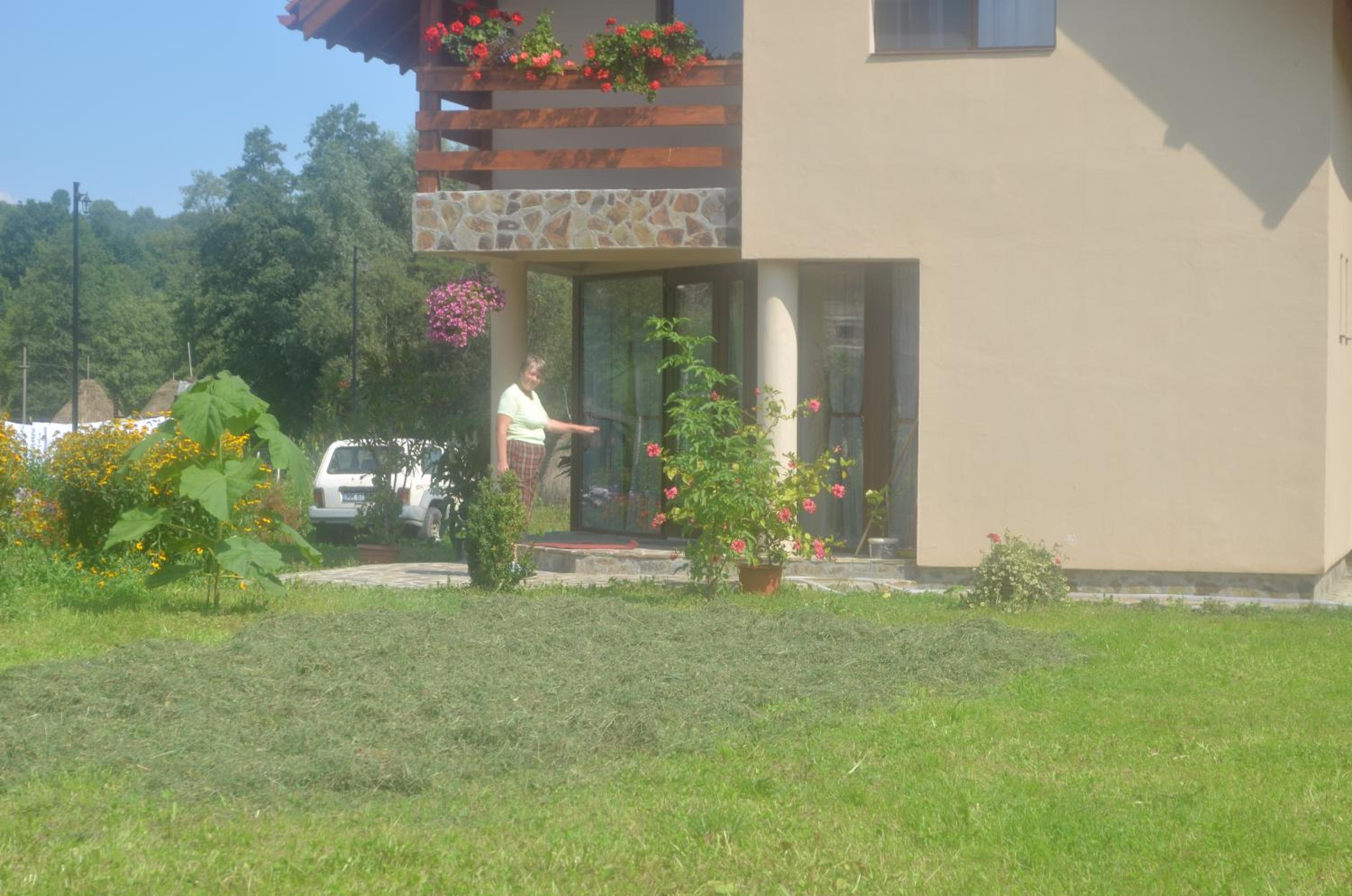Photo 46