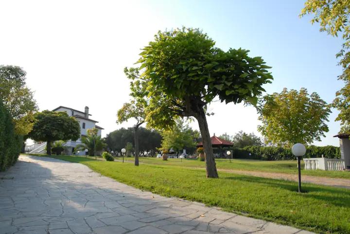 Photo 42