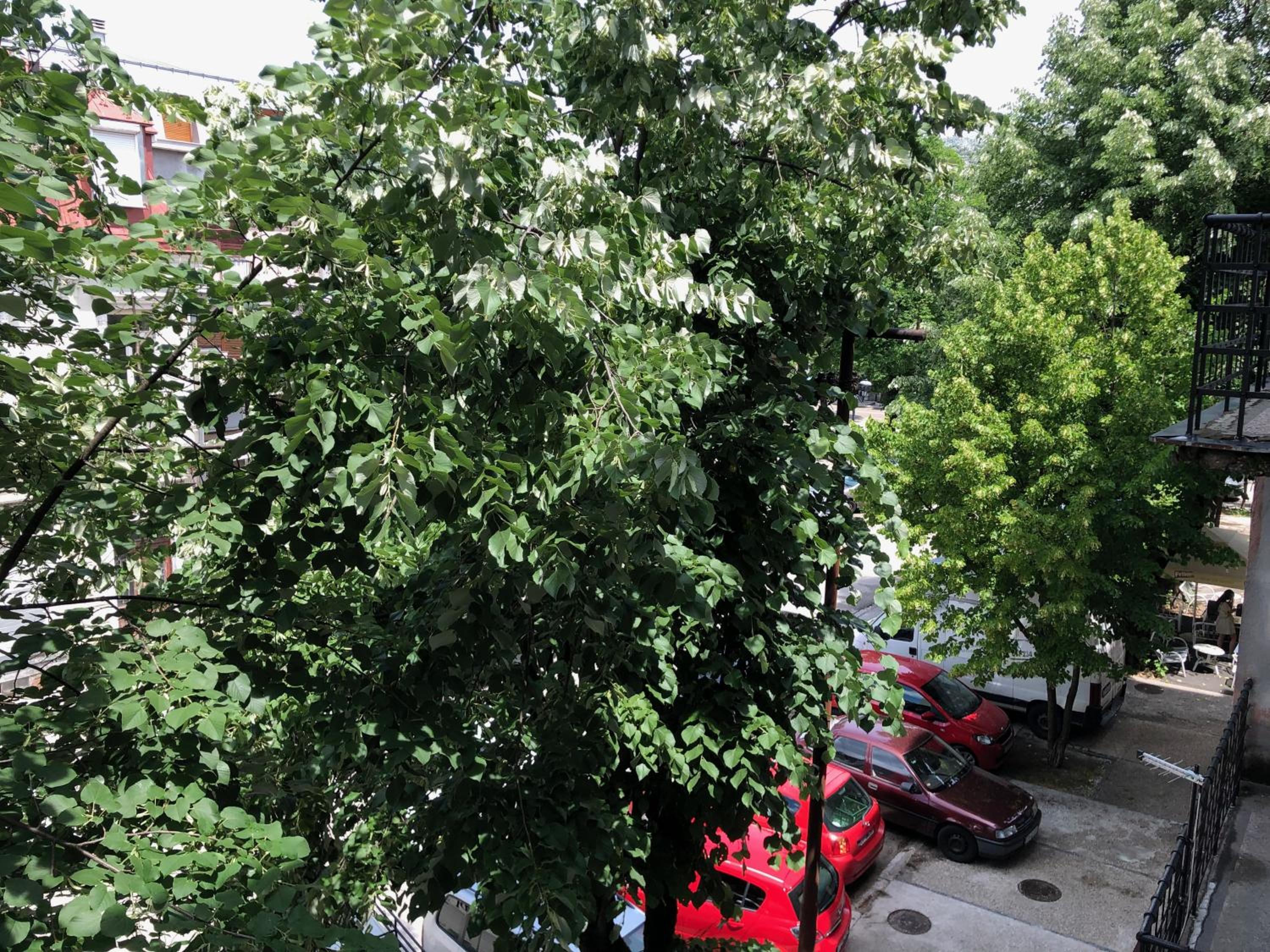 Photo 24