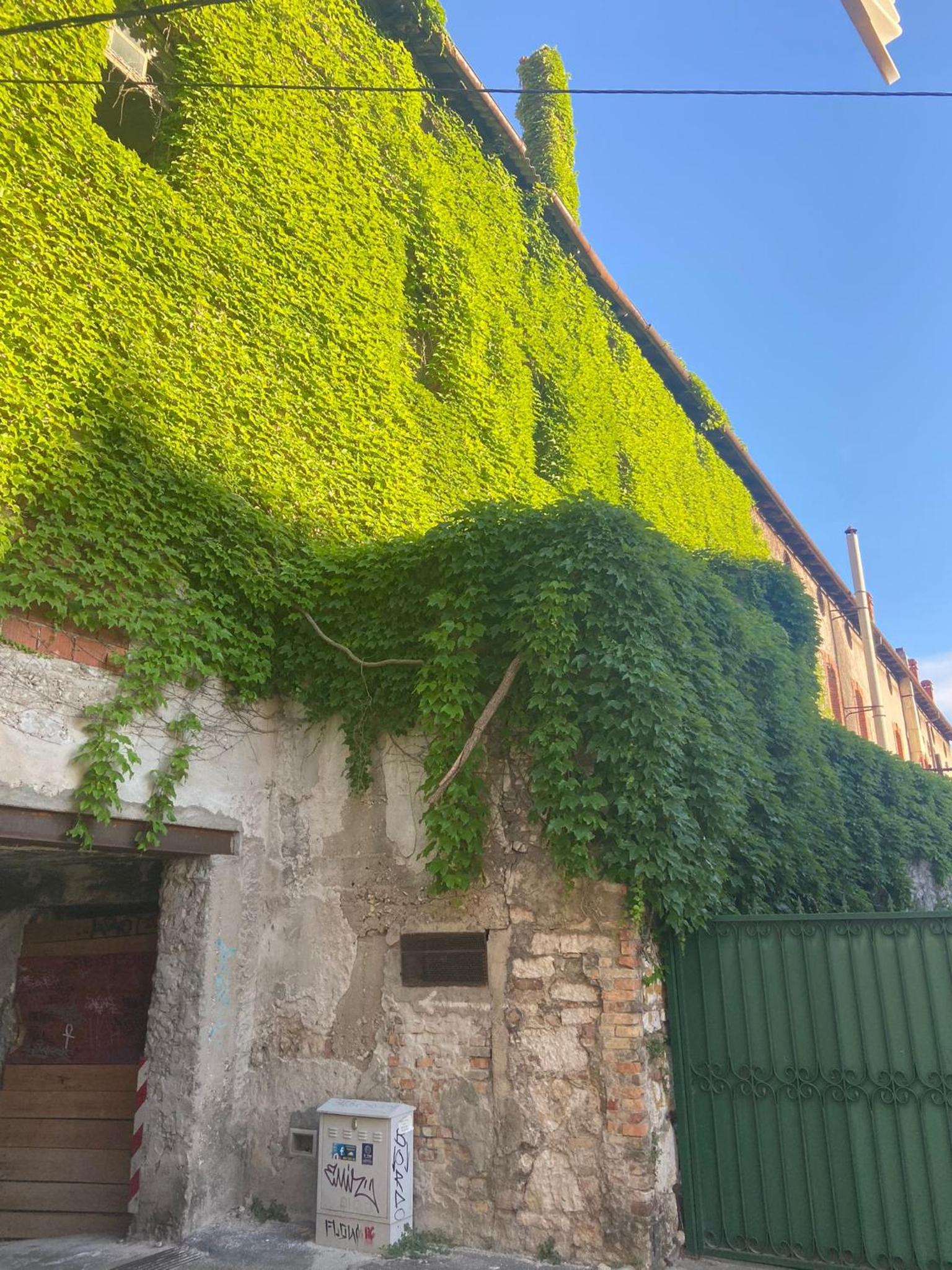 Hotel Duje & Roko Apartments - Image 1