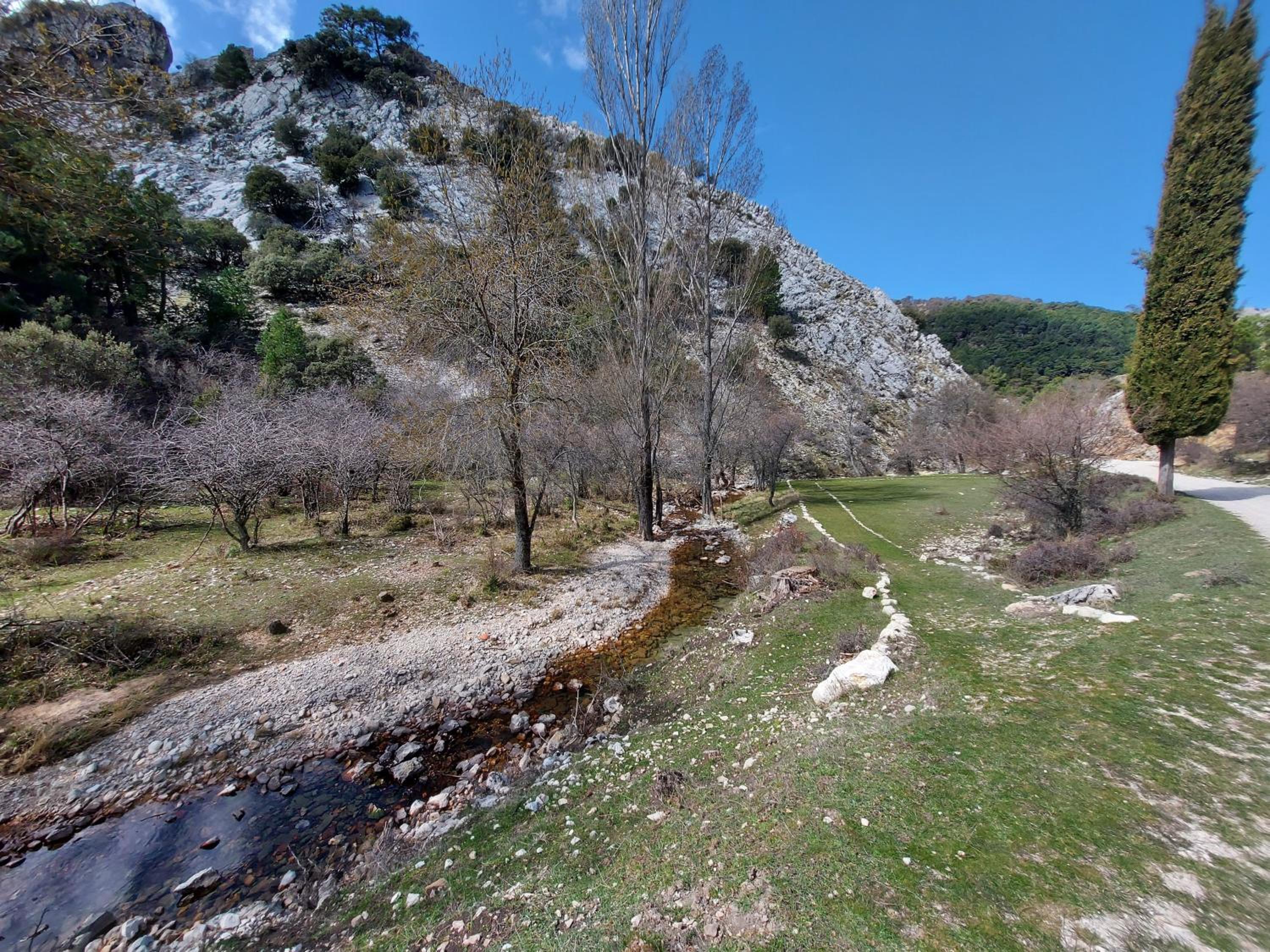 Photo 25