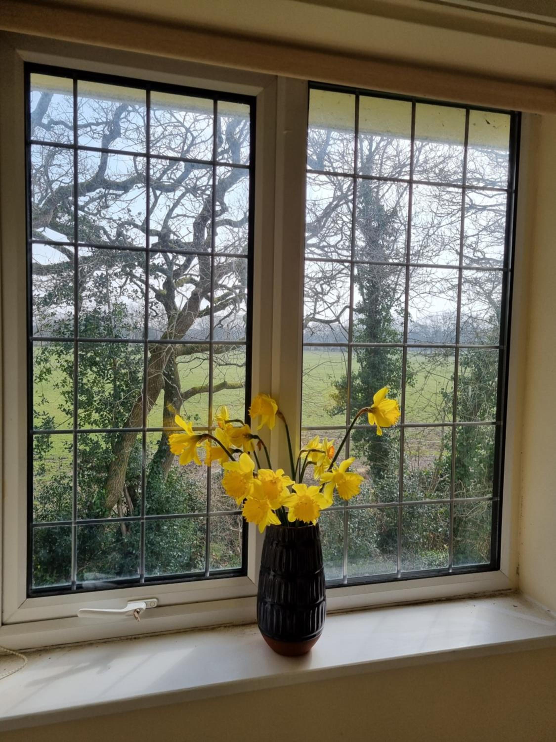 Lovely 2-Bedroom New Forest apartment on a Farm view 4