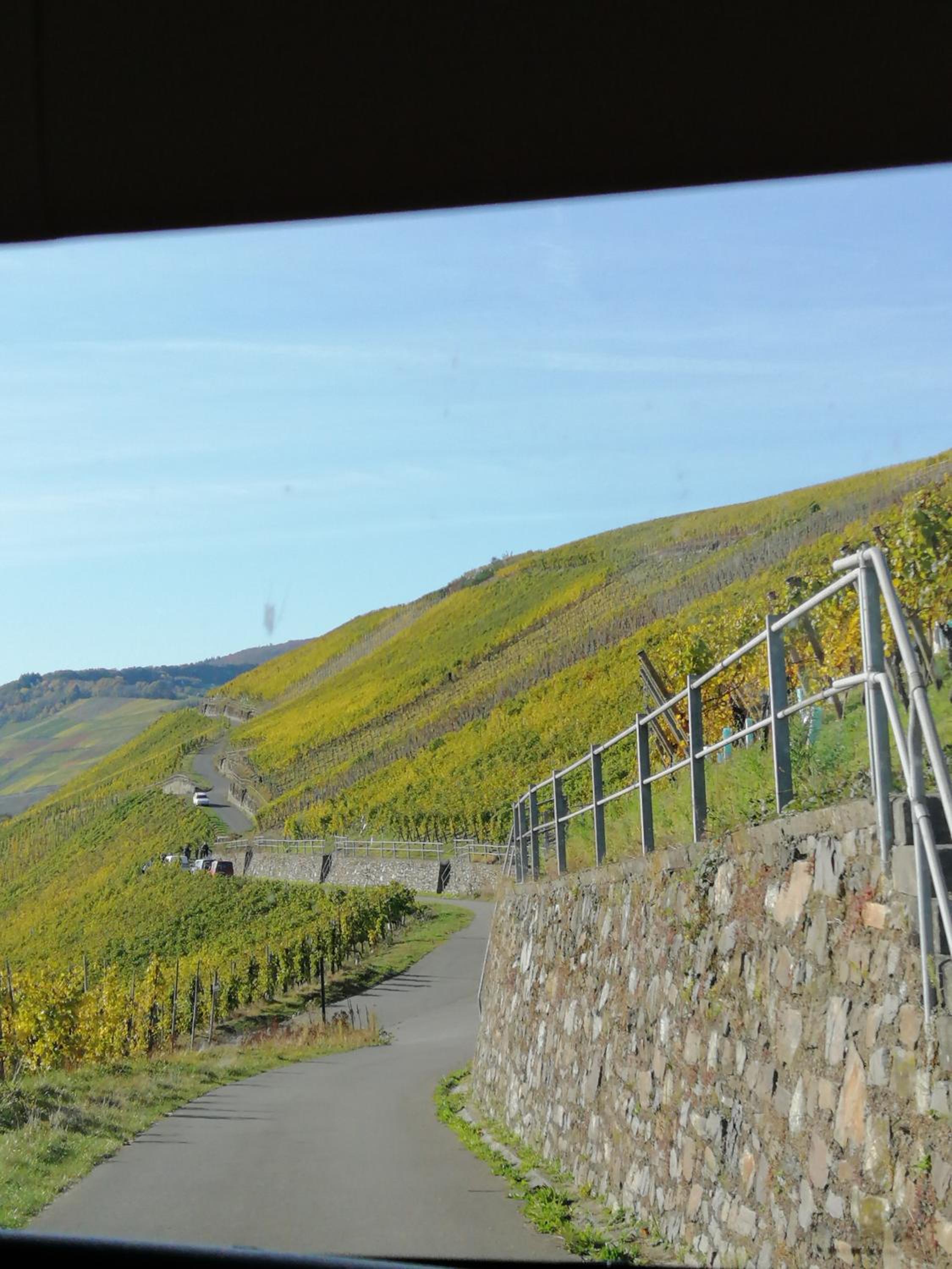 Weingut Licht-Stadtfeld