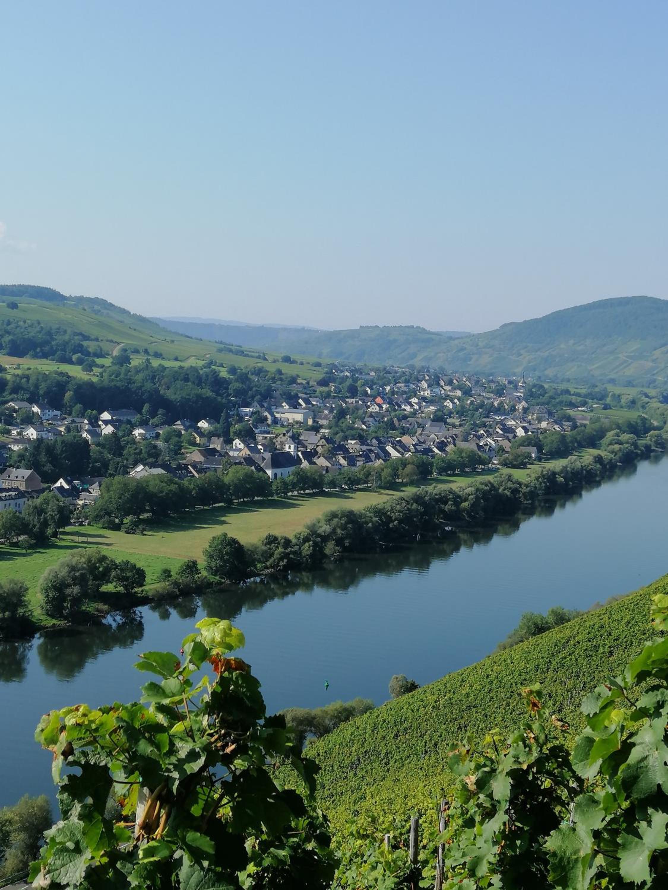 Weingut Licht-Stadtfeld