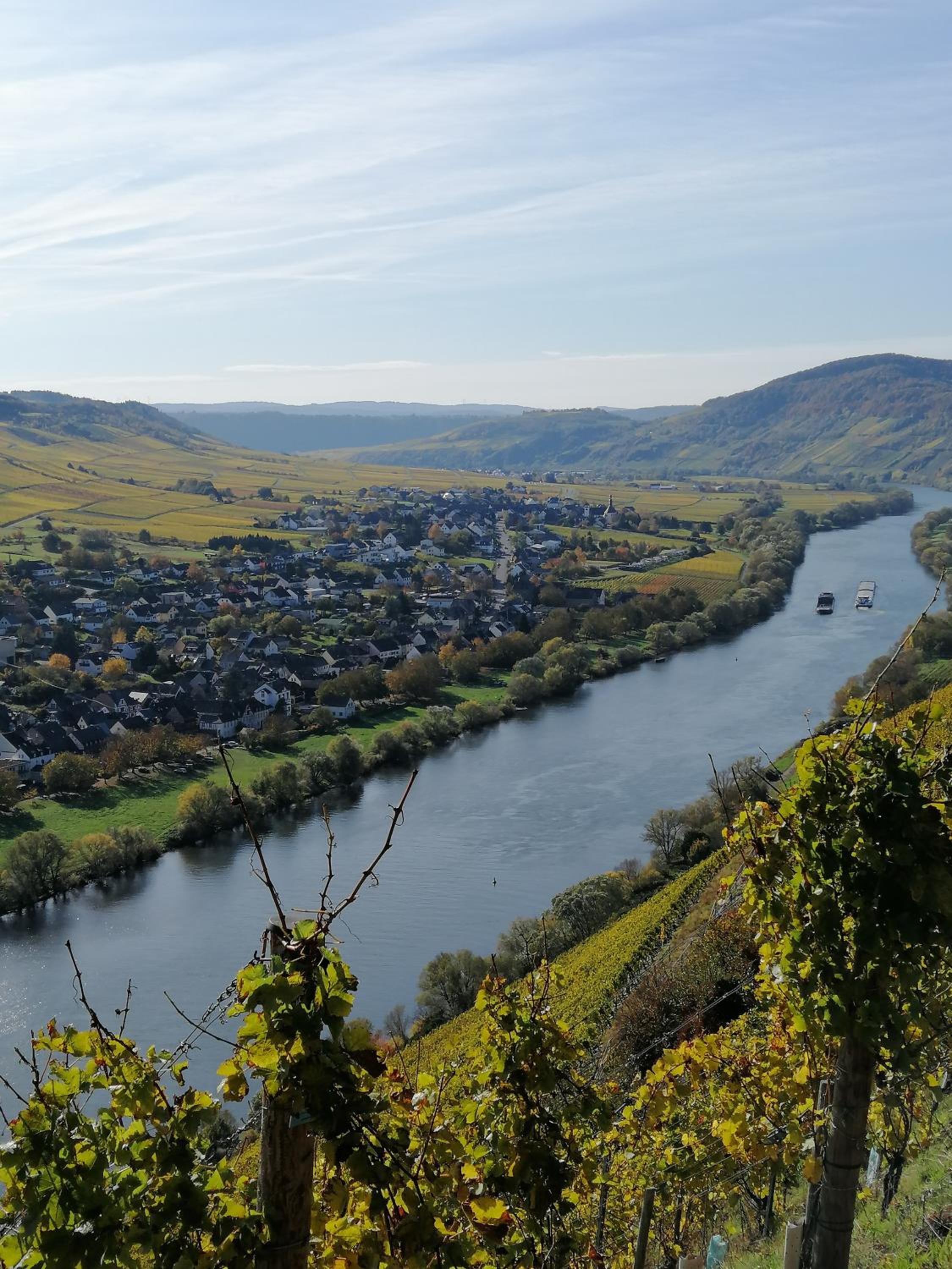 Weingut Licht-Stadtfeld