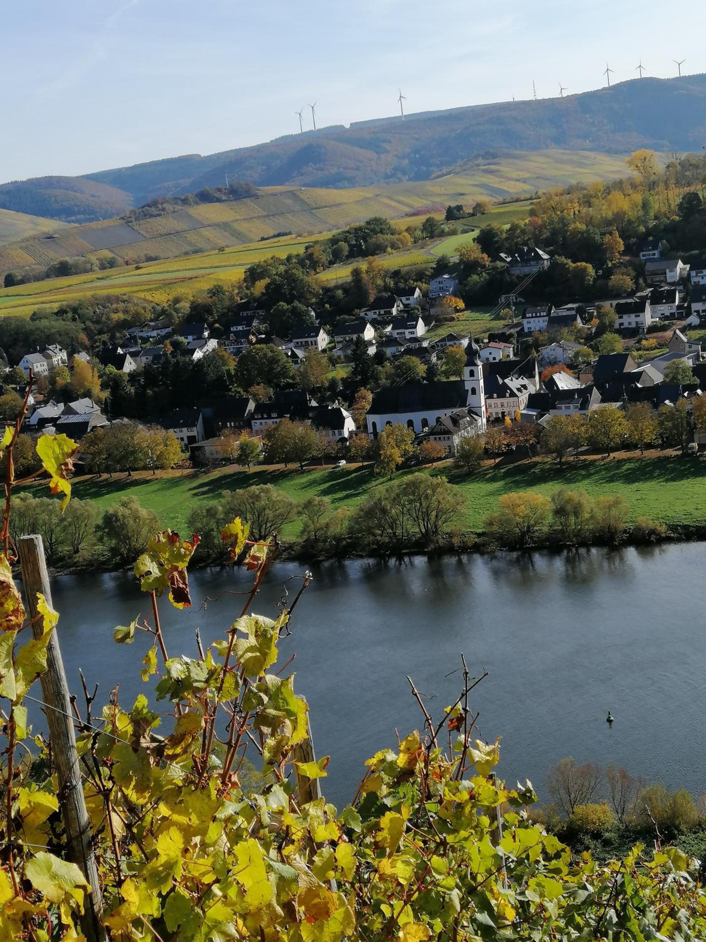 Weingut Licht-Stadtfeld