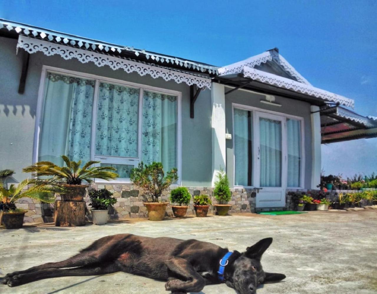 Thapa Homestay by StayApart view 2