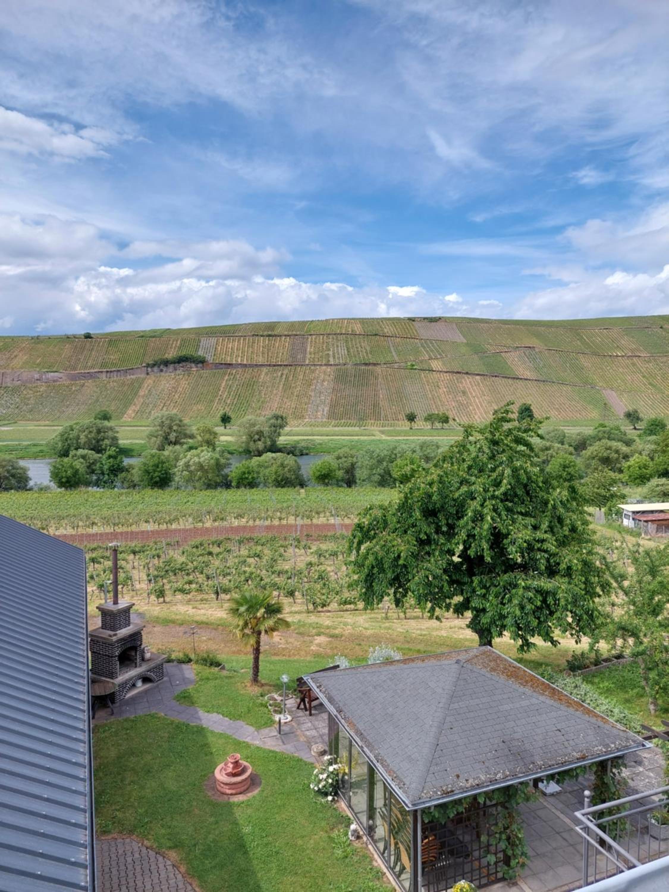 Weingut Licht-Stadtfeld