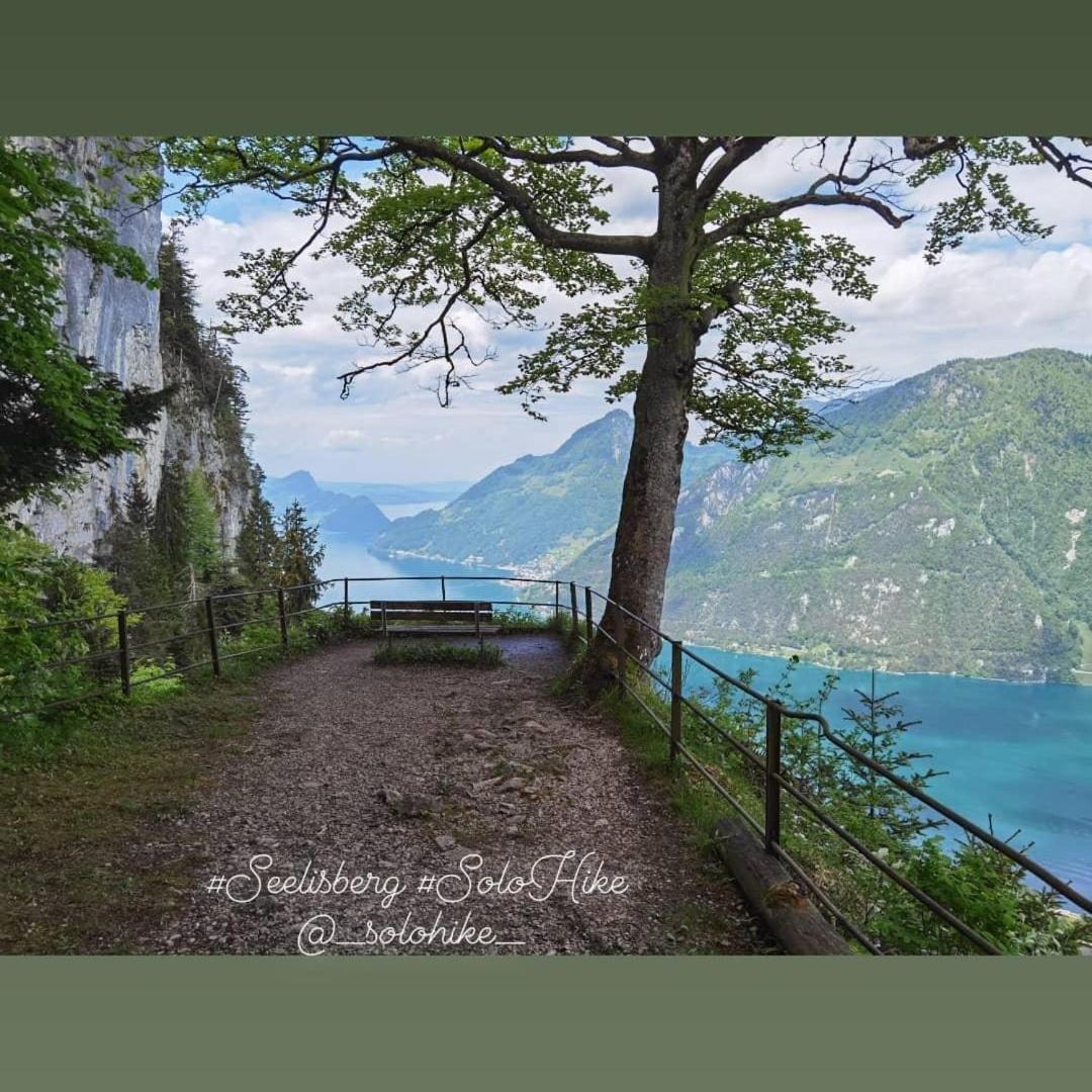 Schöne Ferienwohnung in Traumlage FeWo SoloHike view 2