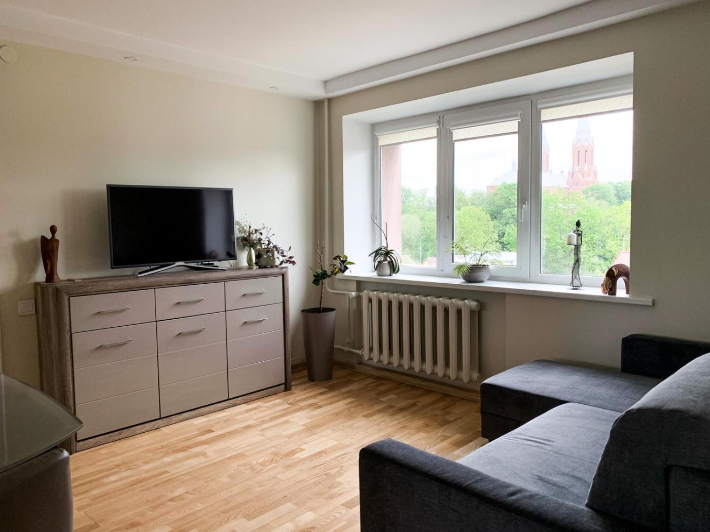 Vienuolio Apartament - jauki vieta poilsiui šalia upės view 2