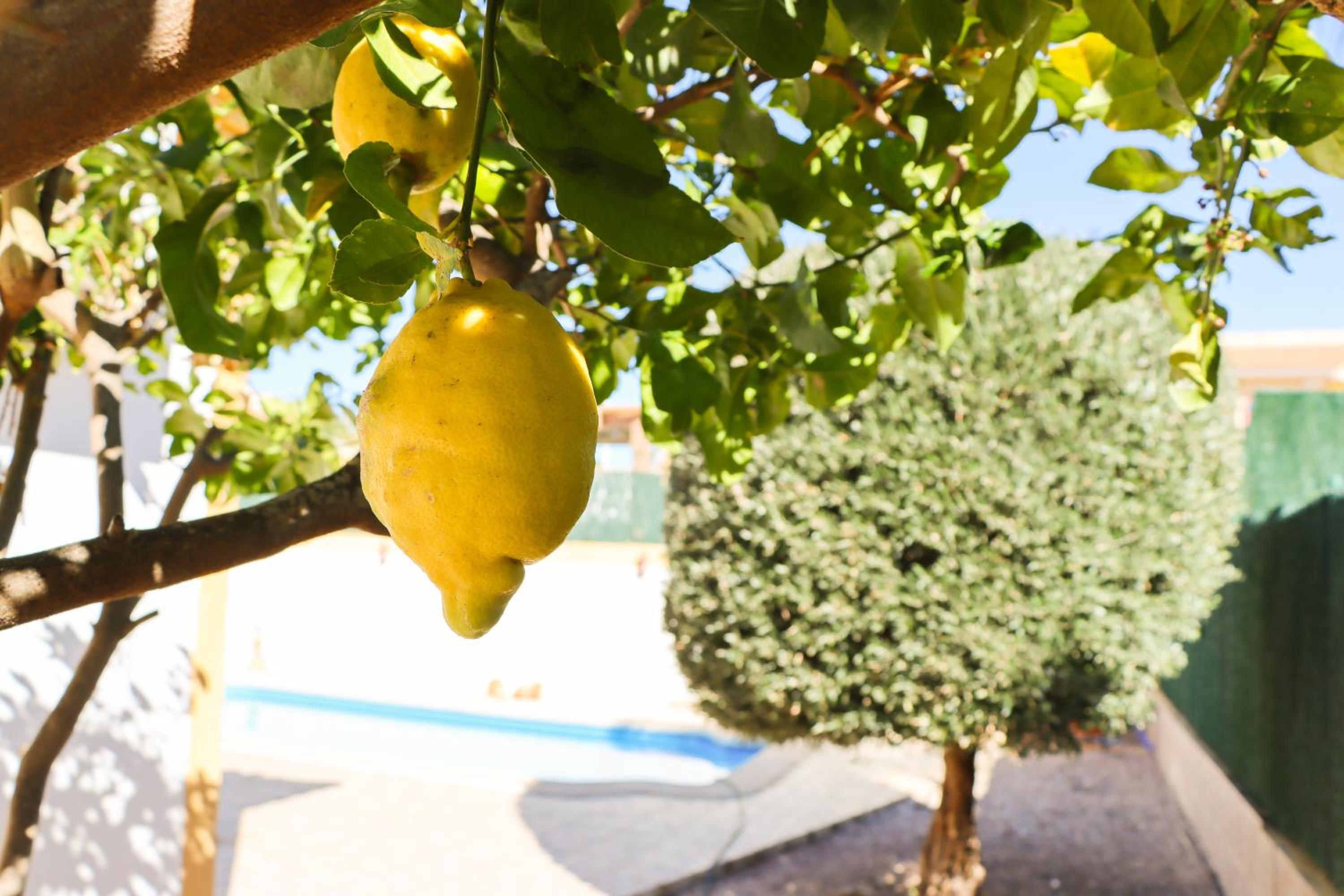 Mazarron Country Club Resort view 2
