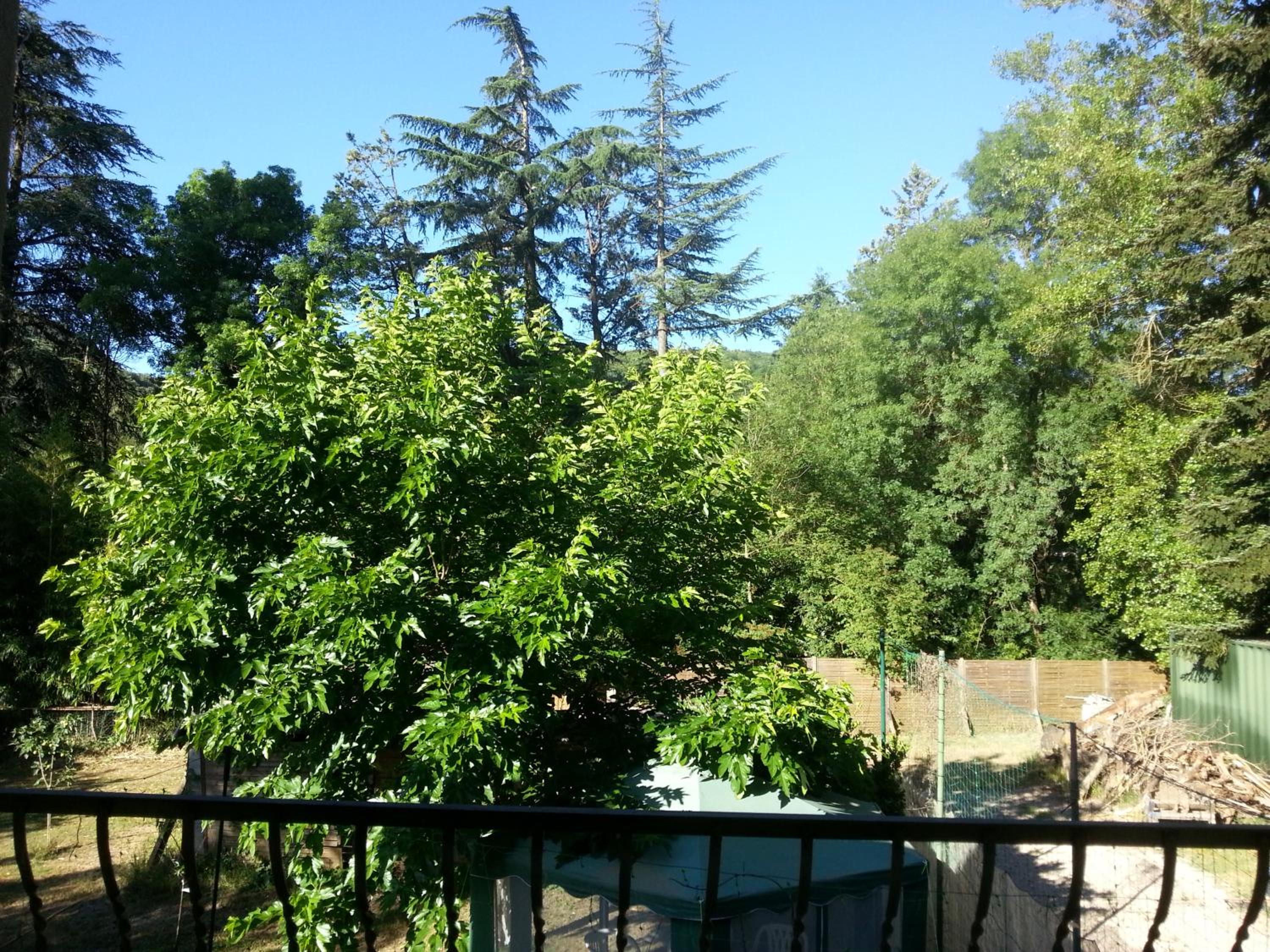 Photo 42