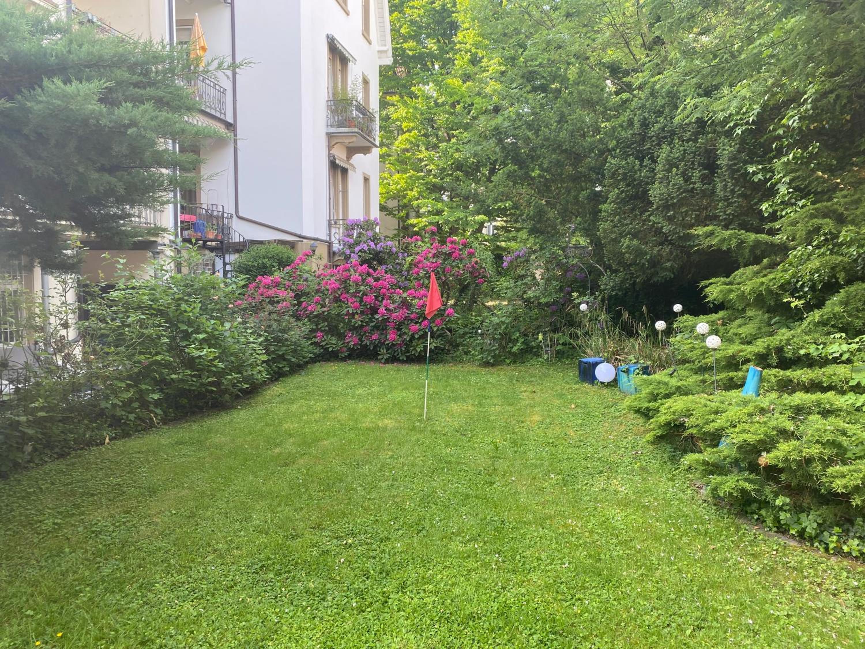 Photo 31