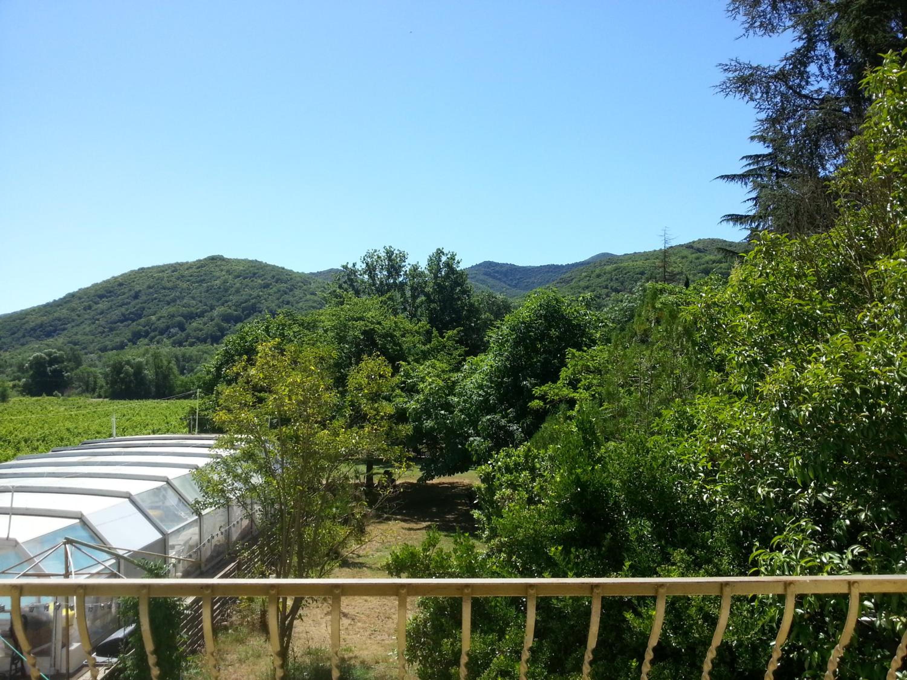 Photo 44