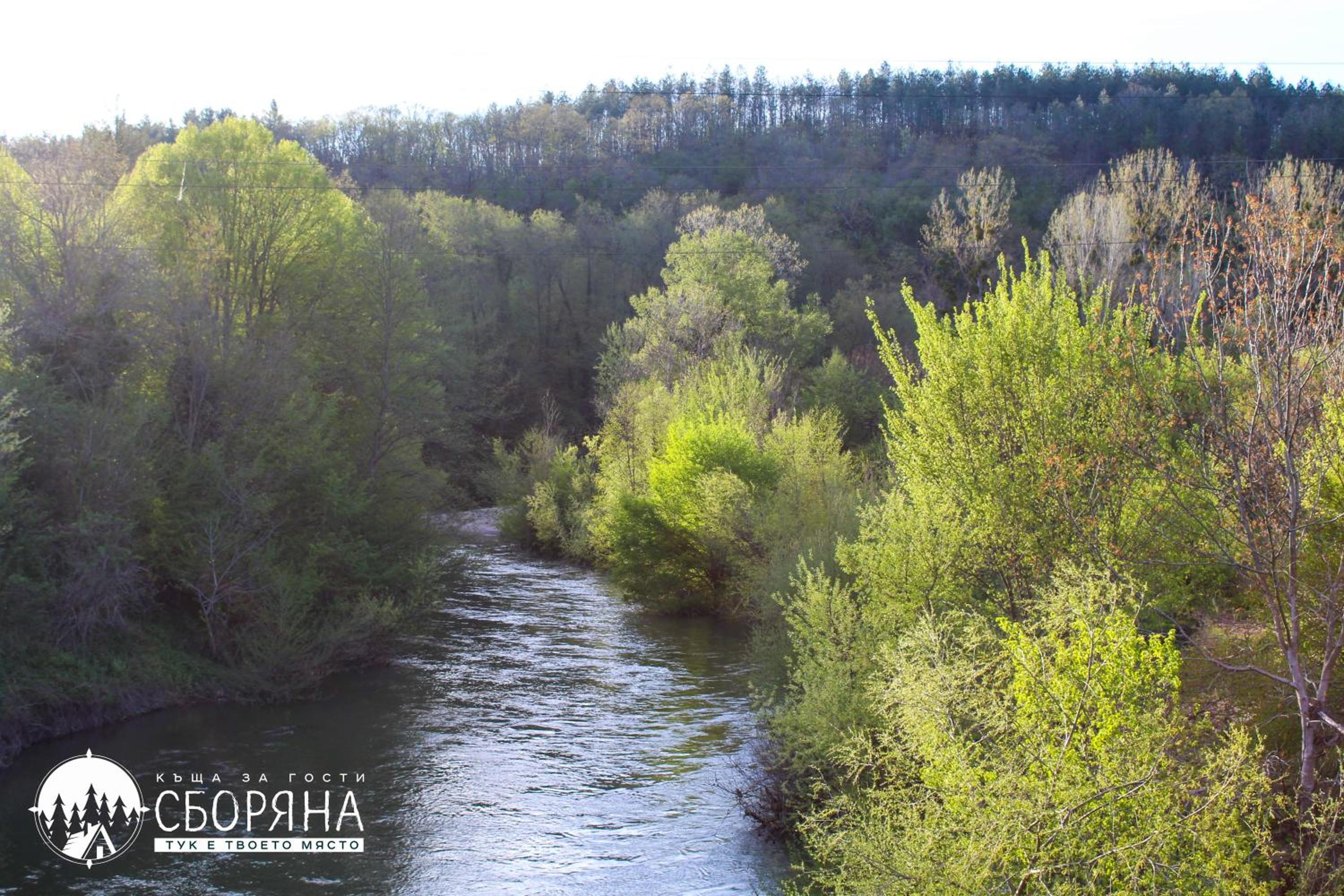Комплекс Сборяна