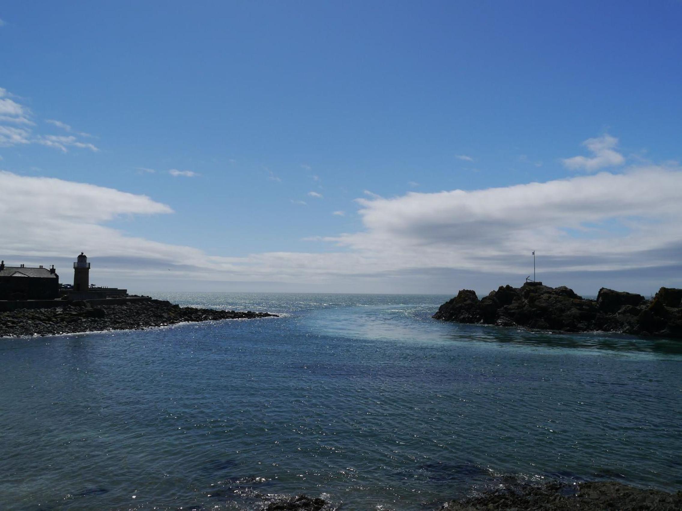 Photo 44