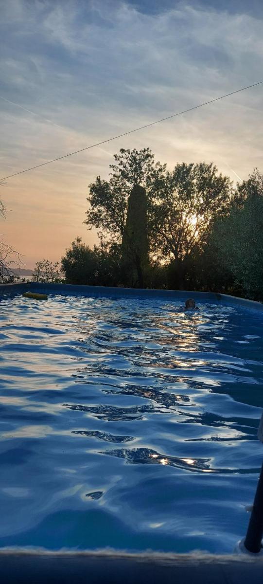 Photo 49