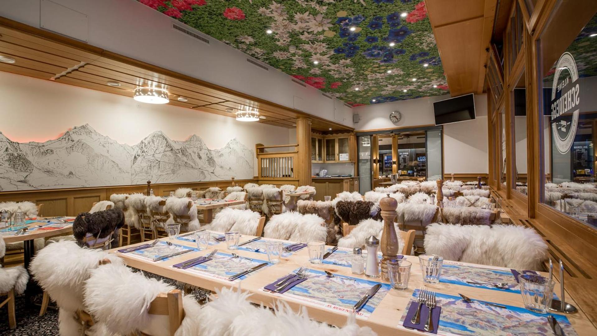 Lodge Bergrestaurant Kleine Scheidegg view 2
