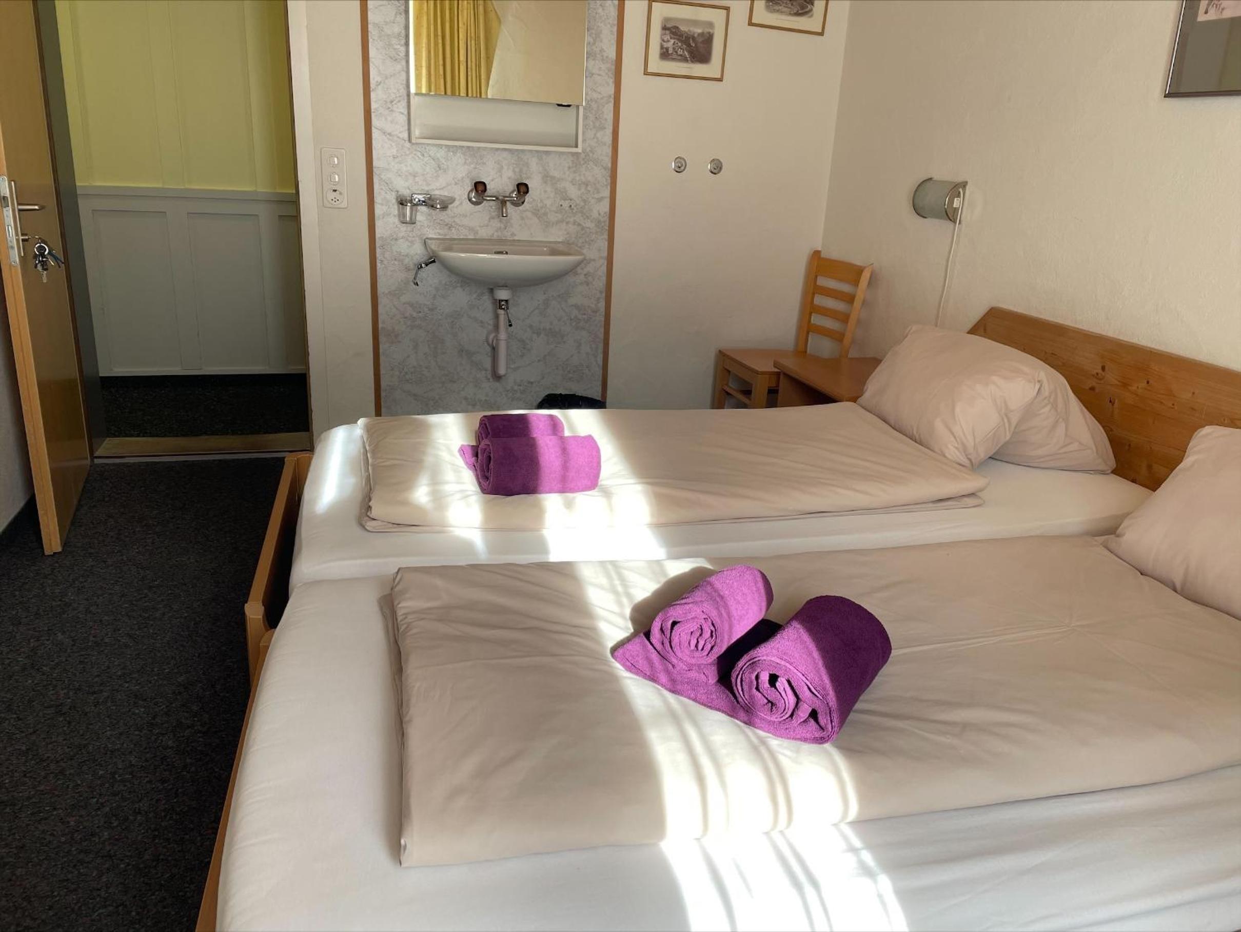Lodge Bergrestaurant Kleine Scheidegg view 4