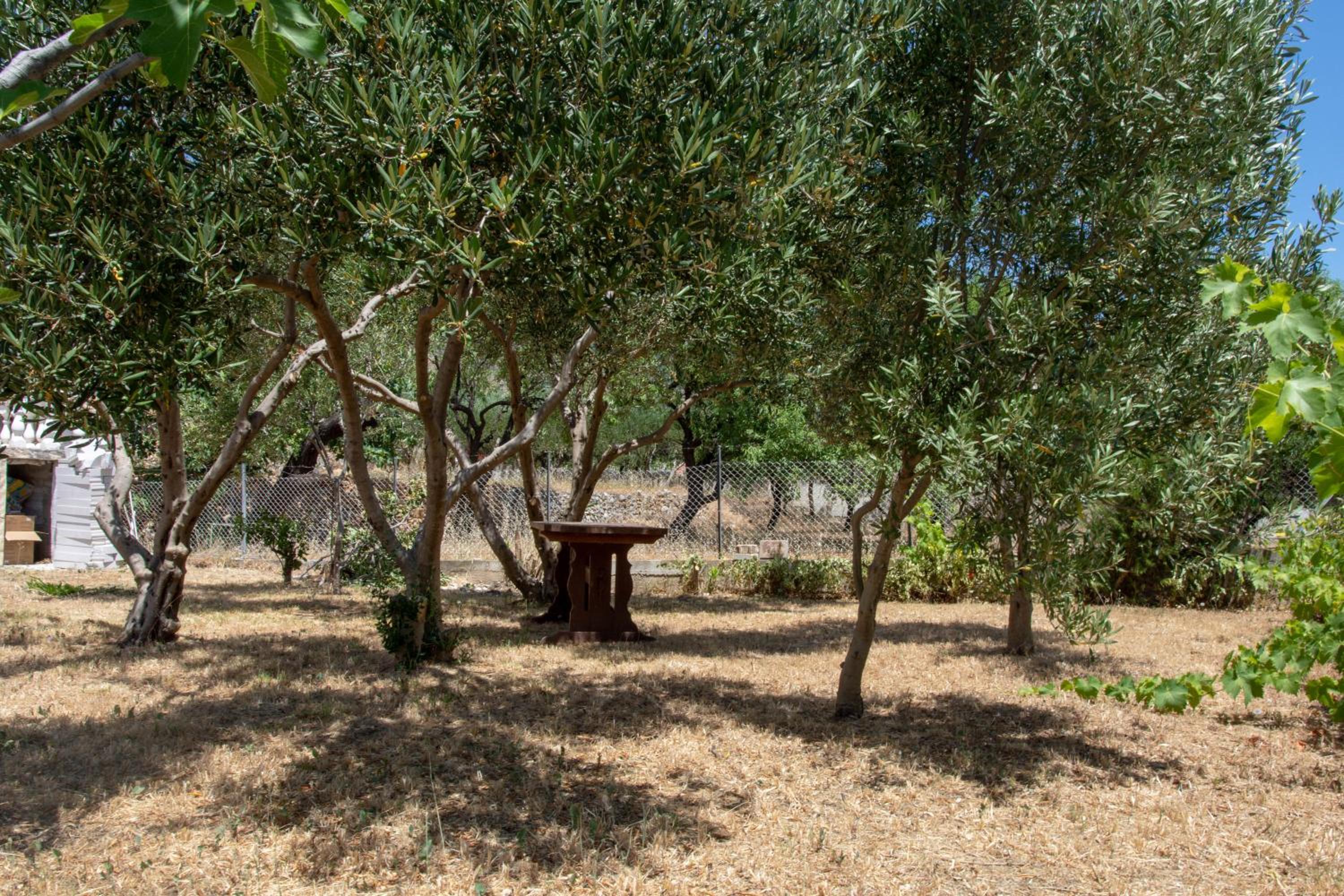 Photo 42