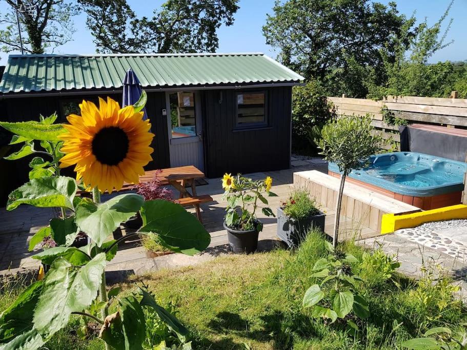 The Old Potting Shed with hot tub. Colan, Newquay. view 4