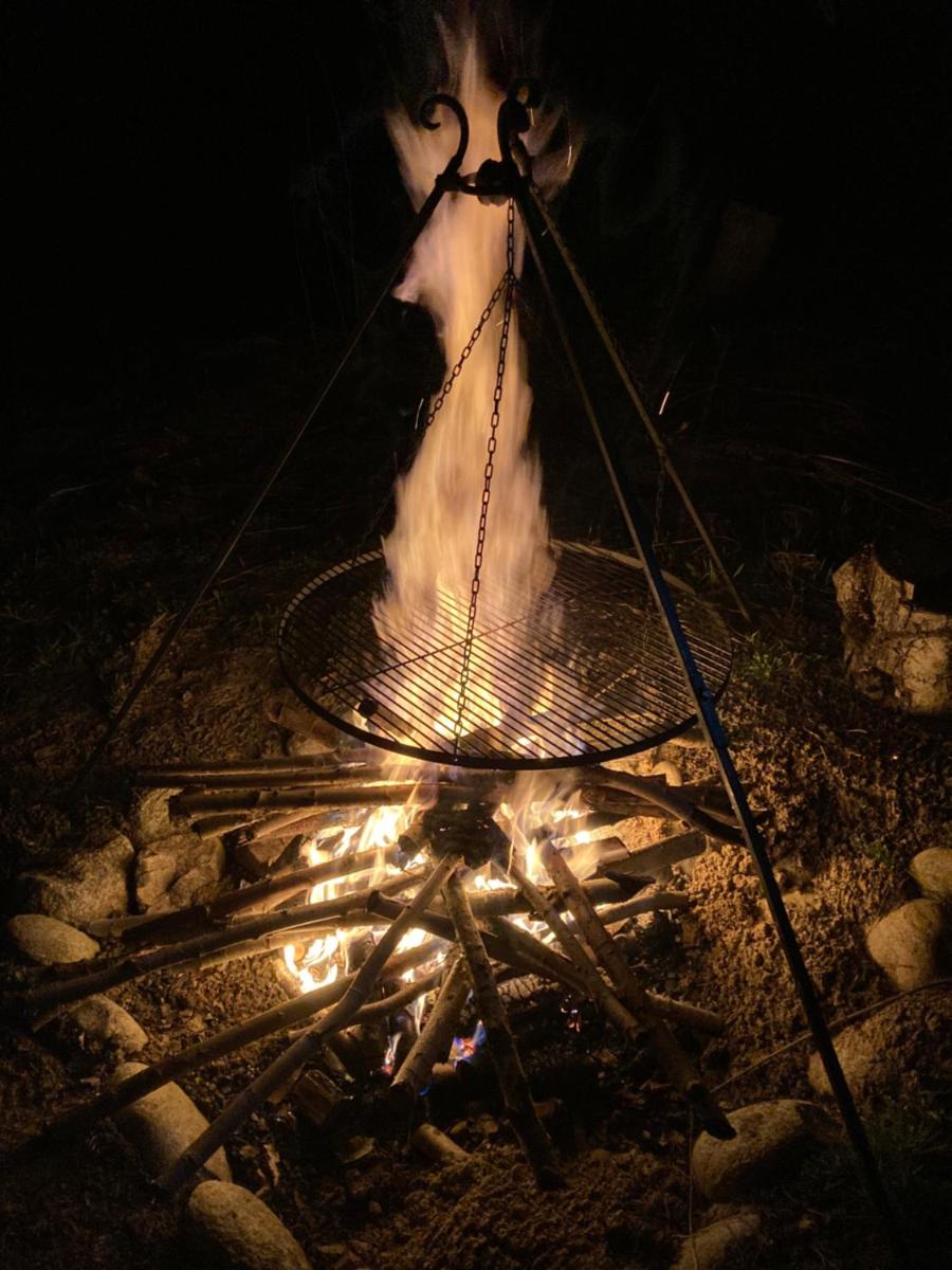 Photo 49