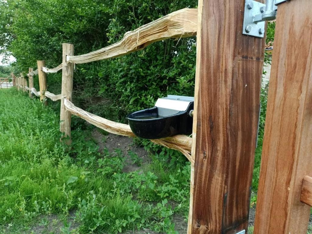 Mademoiselle Nineth met sauna
