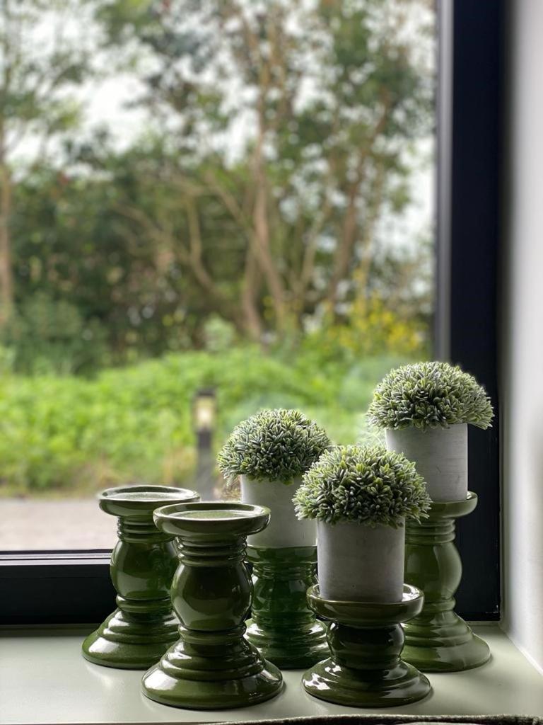 Mademoiselle Nineth met sauna