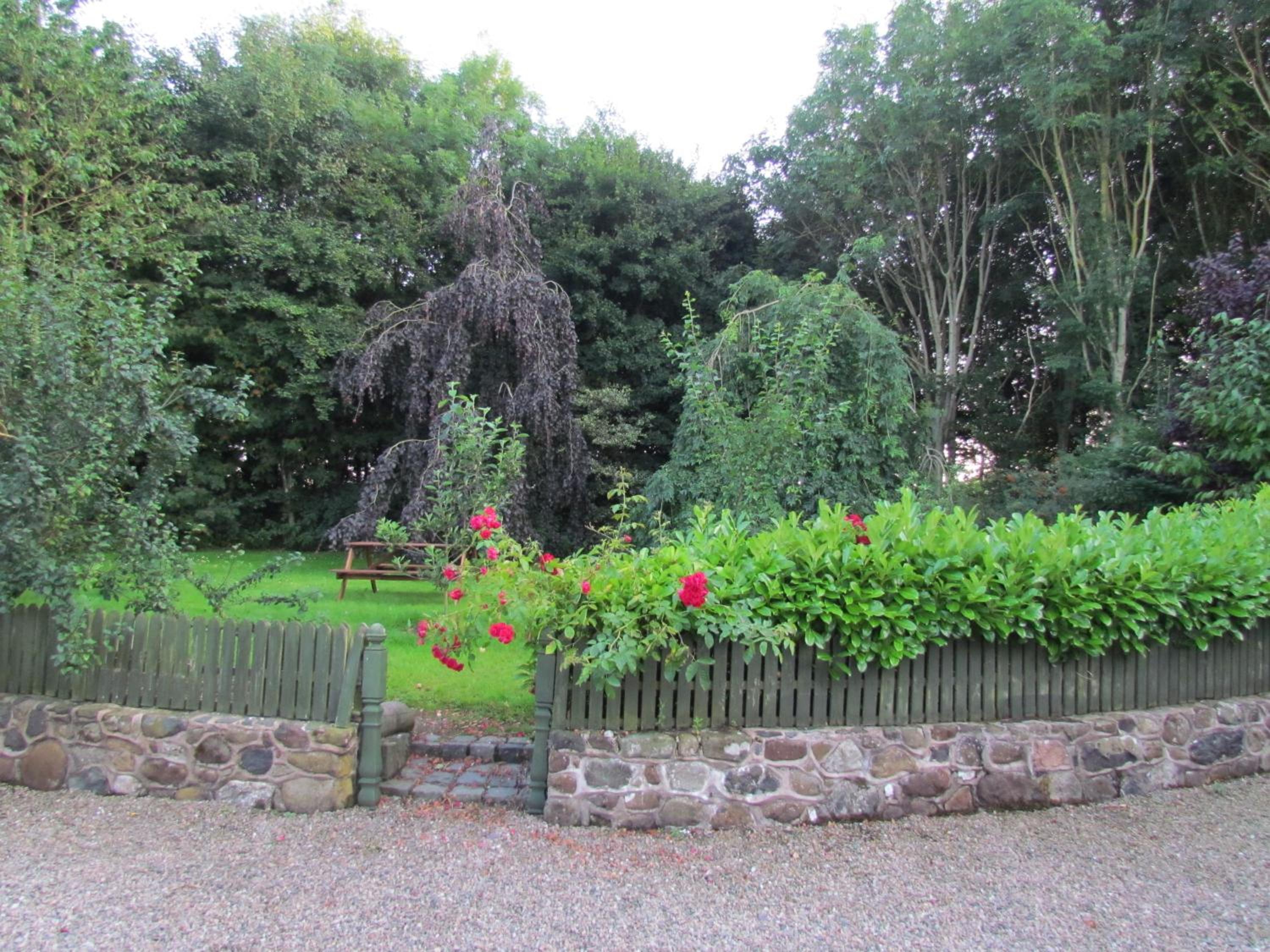 Photo 27