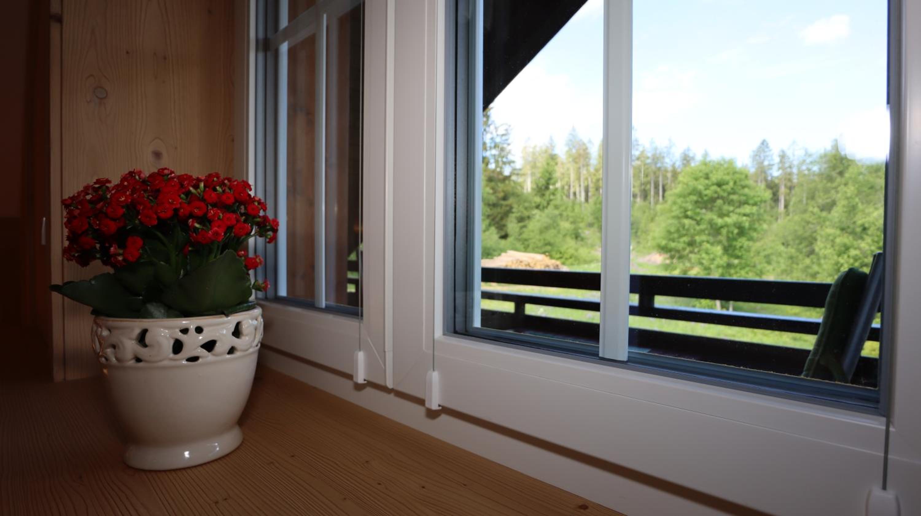 Ferienwohnung Waldrauschen in der Höhenpension Glashütte