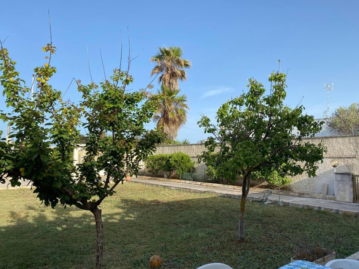 Villa Viola view 4