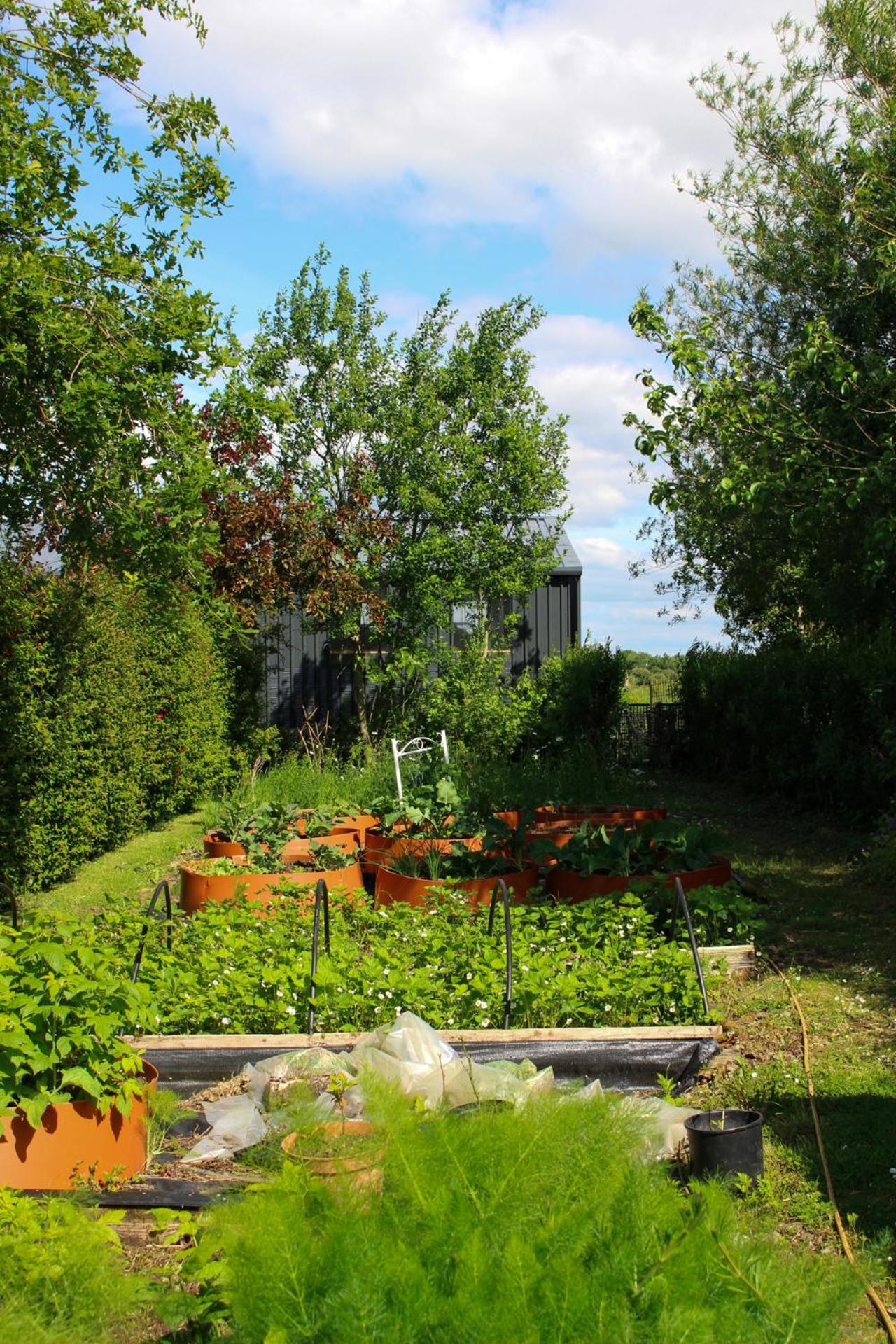 Photo 10