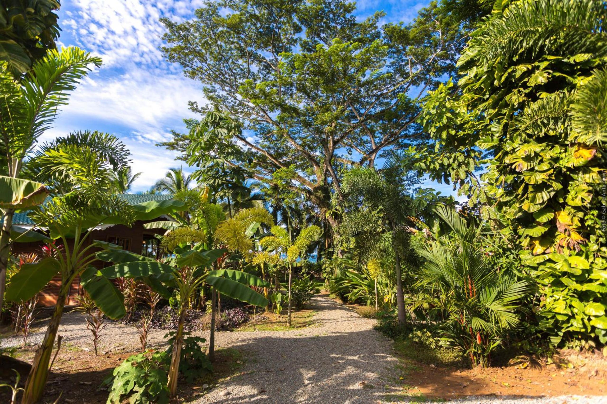 Beachfront Villa Starfish w AC and POOL
