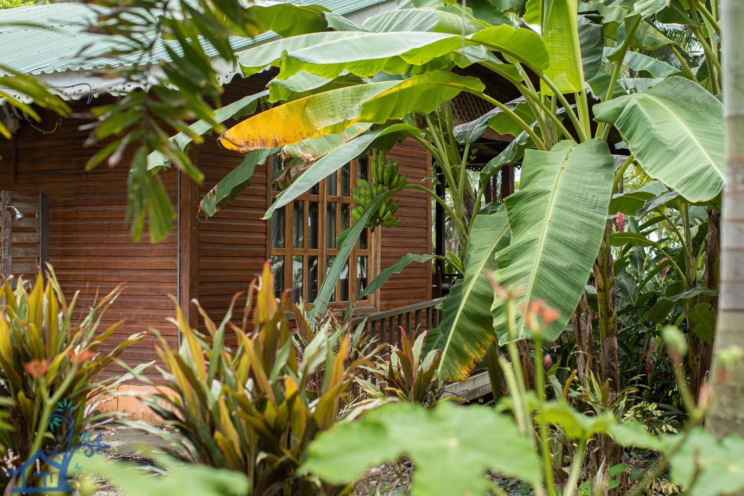 Beachfront Villa Starfish w AC and POOL