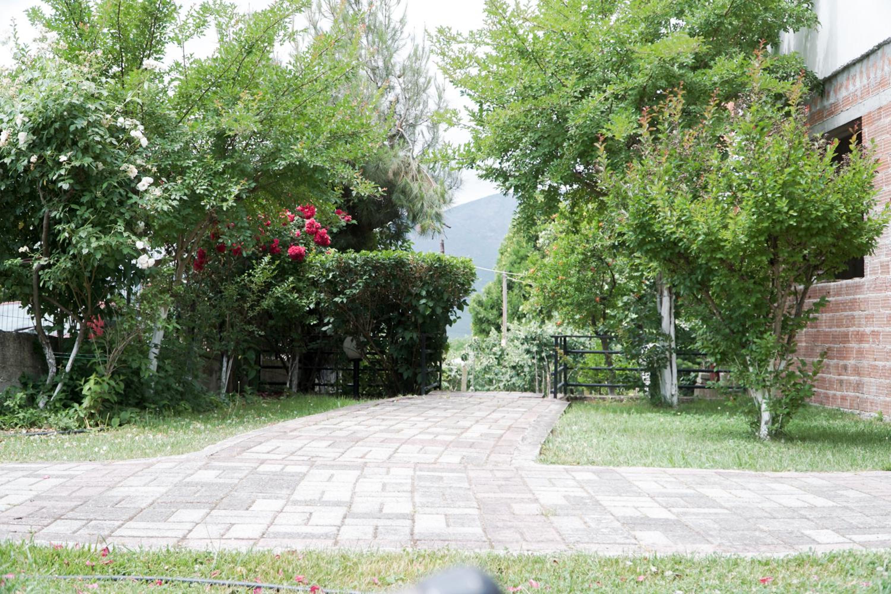 Photo 23