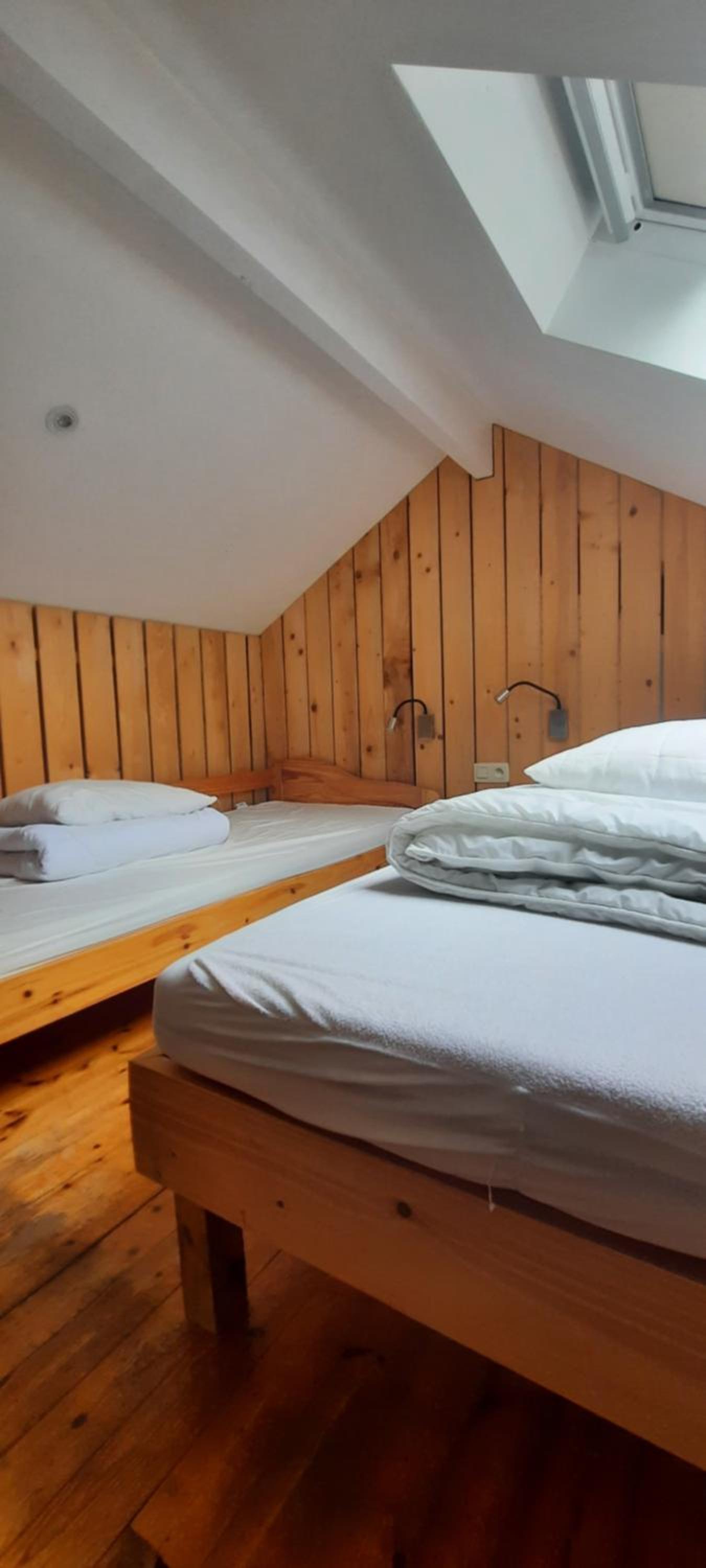 L'arche De Noé